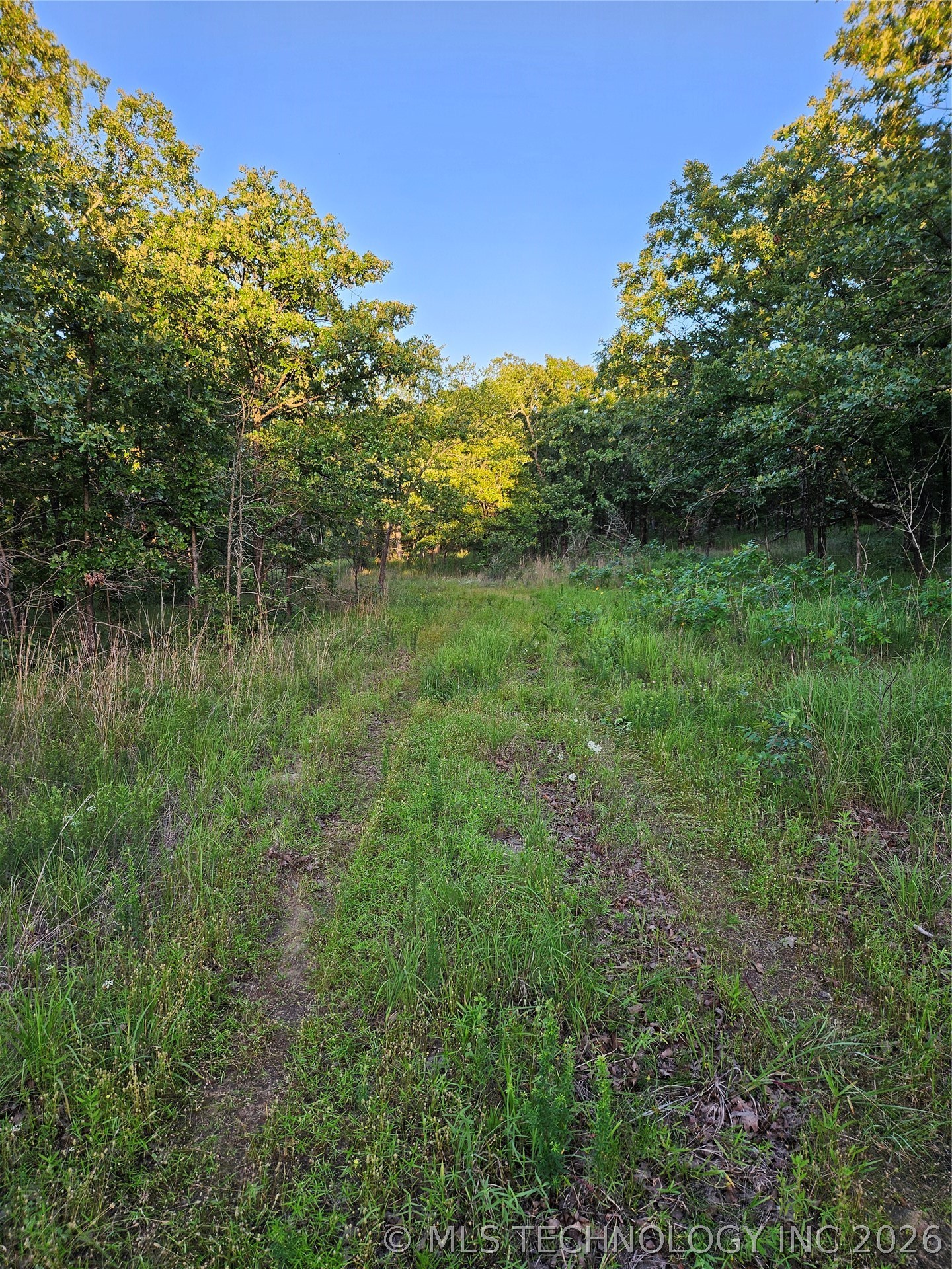 Hickory Lane Property Photo 2