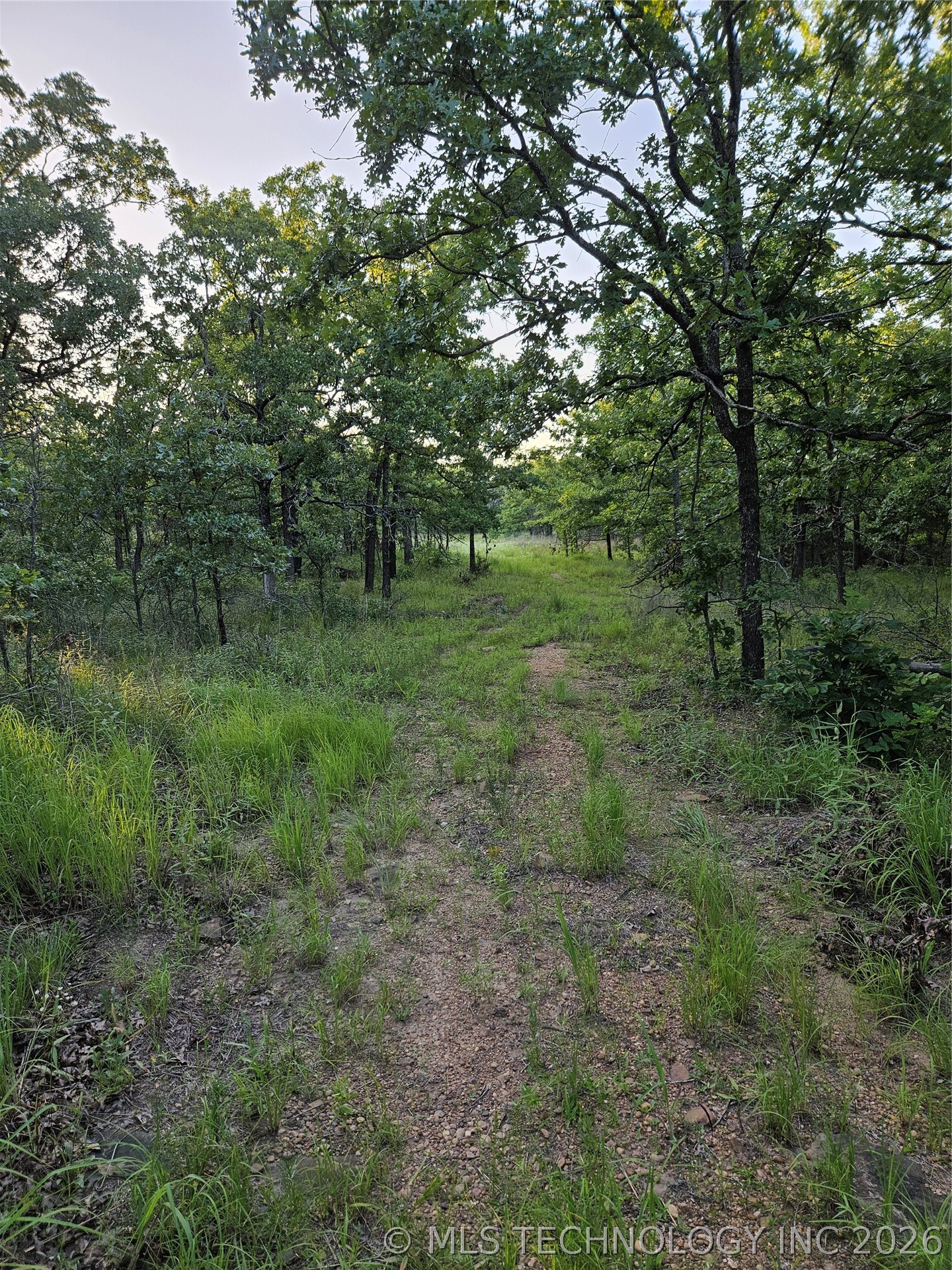 Hickory Lane Property Photo 3