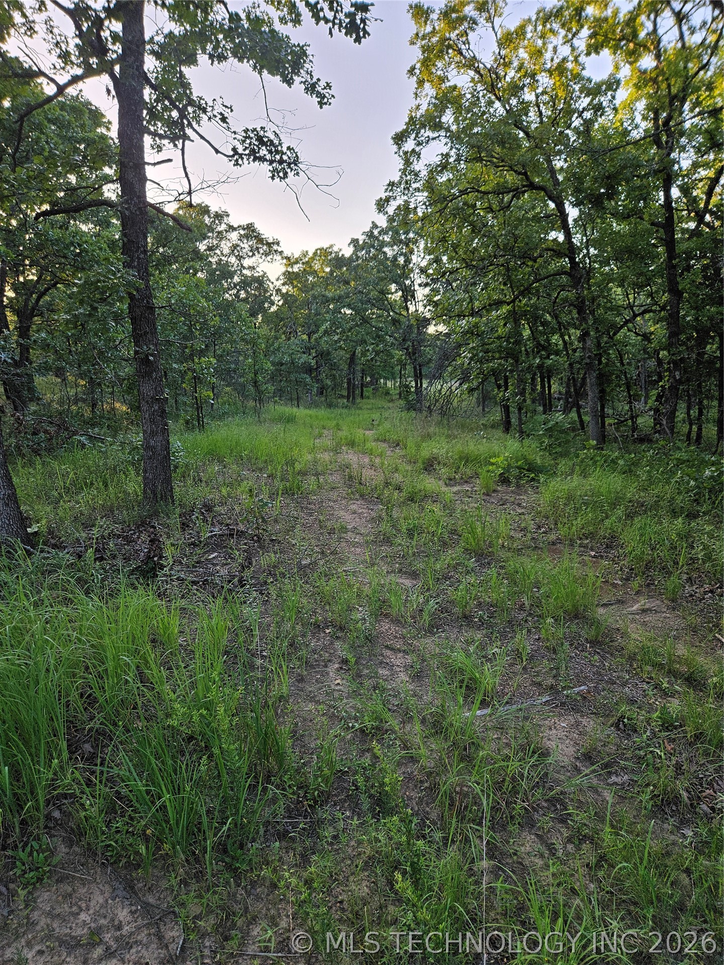 Hickory Lane Property Photo 4