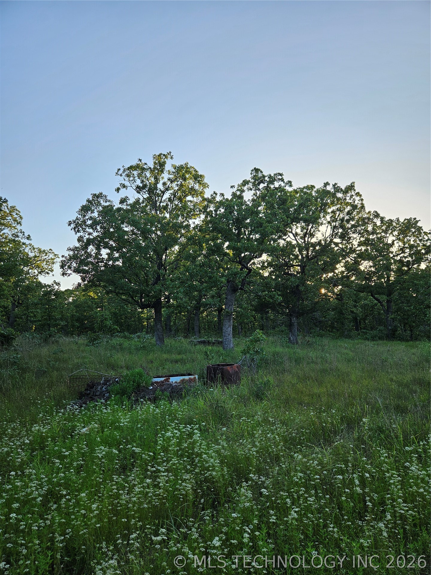 Hickory Lane Property Photo 5