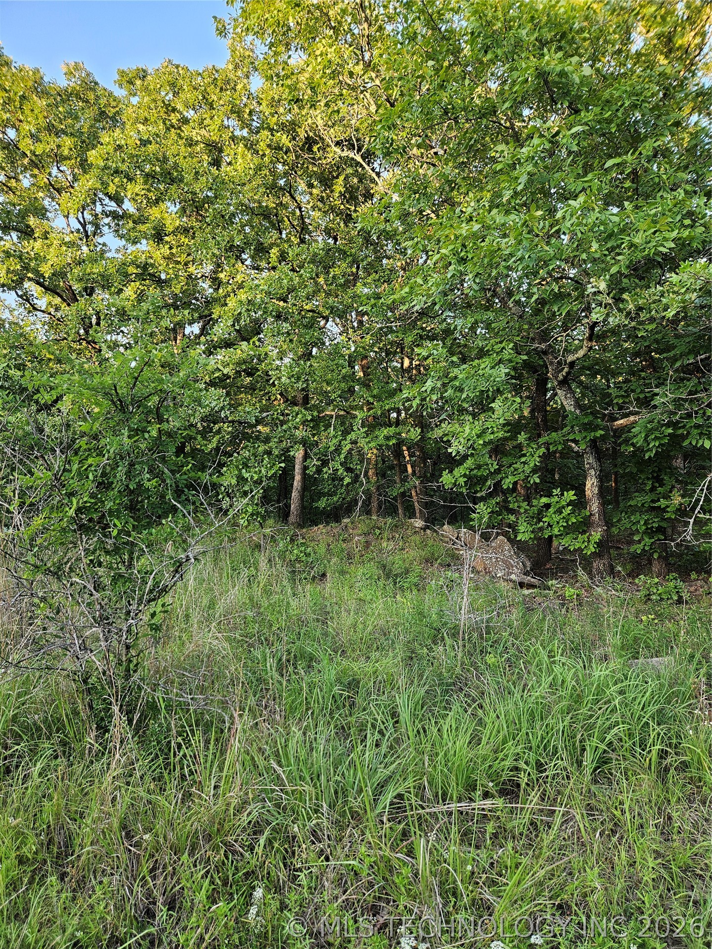 Hickory Lane Property Photo 6