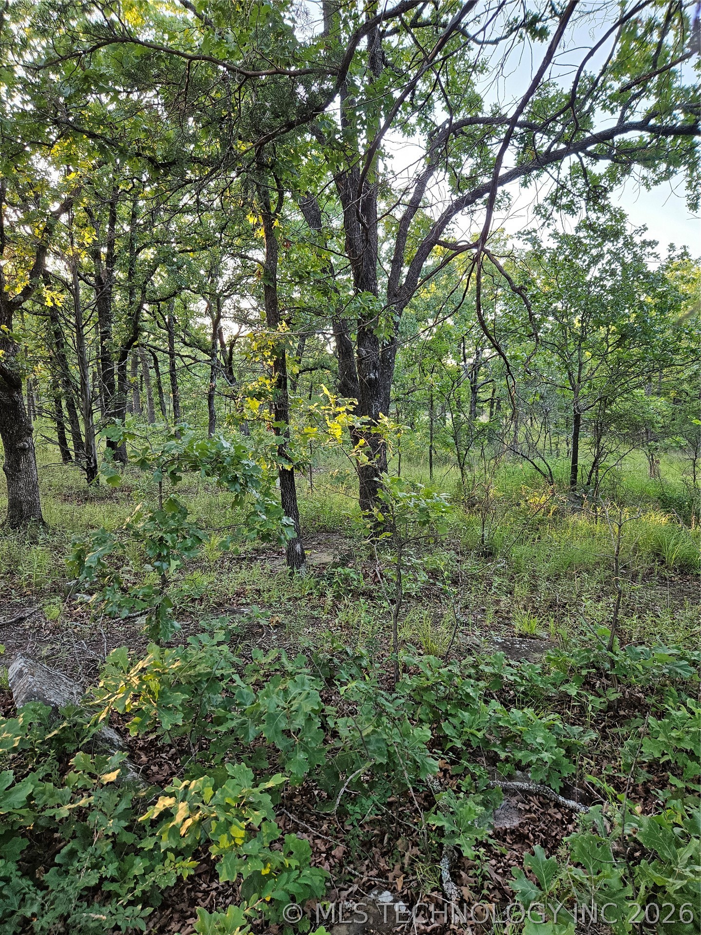 Hickory Lane Property Photo 7