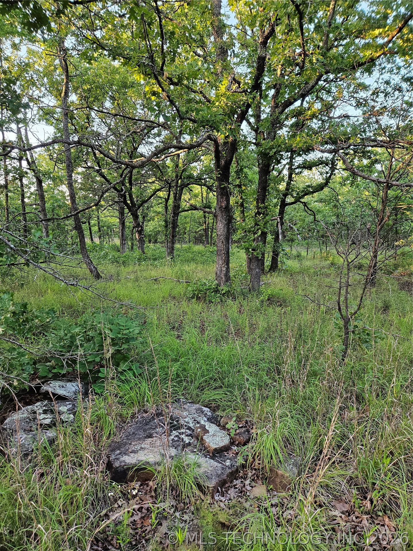 Hickory Lane Property Photo 8