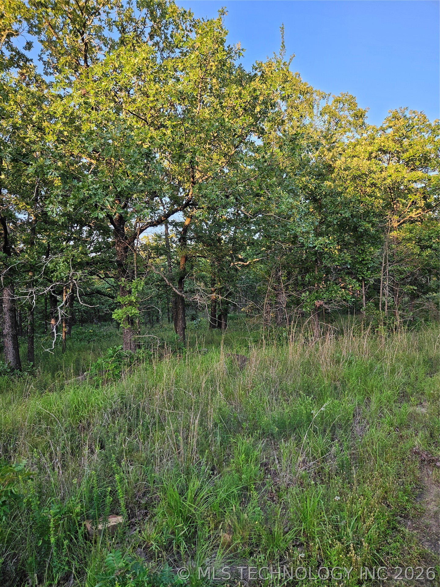 Hickory Lane Property Photo 9