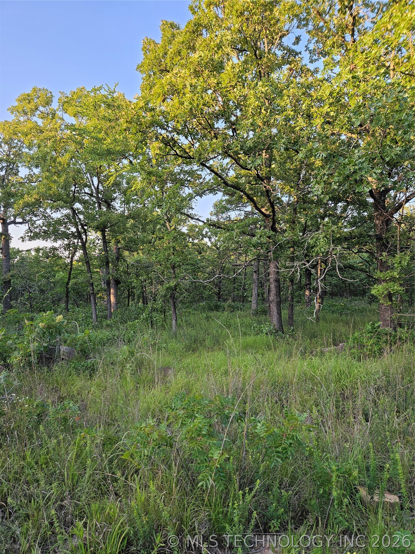 Hickory Lane Property Photo 10