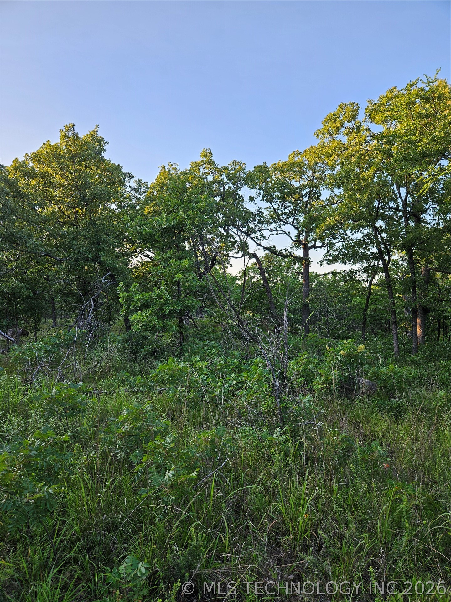 Hickory Lane Property Photo 11
