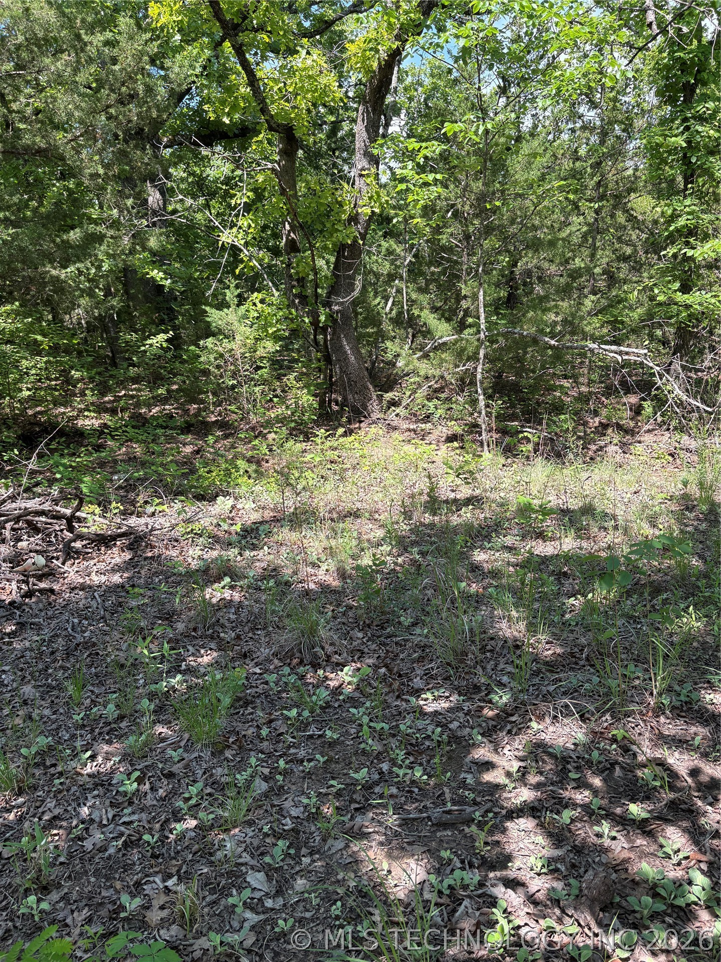 12 Stagecoach Trail Property Photo 2
