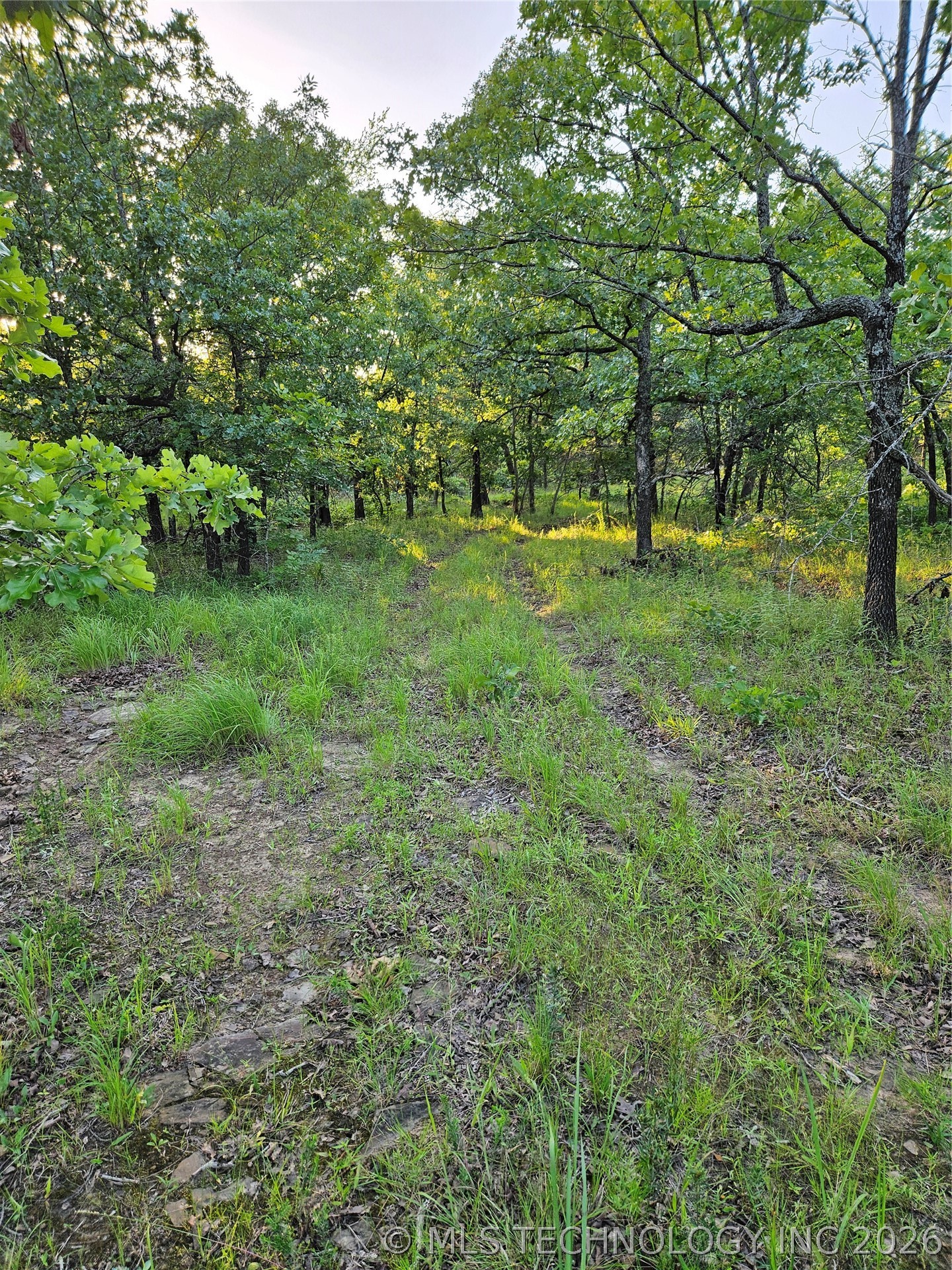 Hickory Lane Property Photo 3