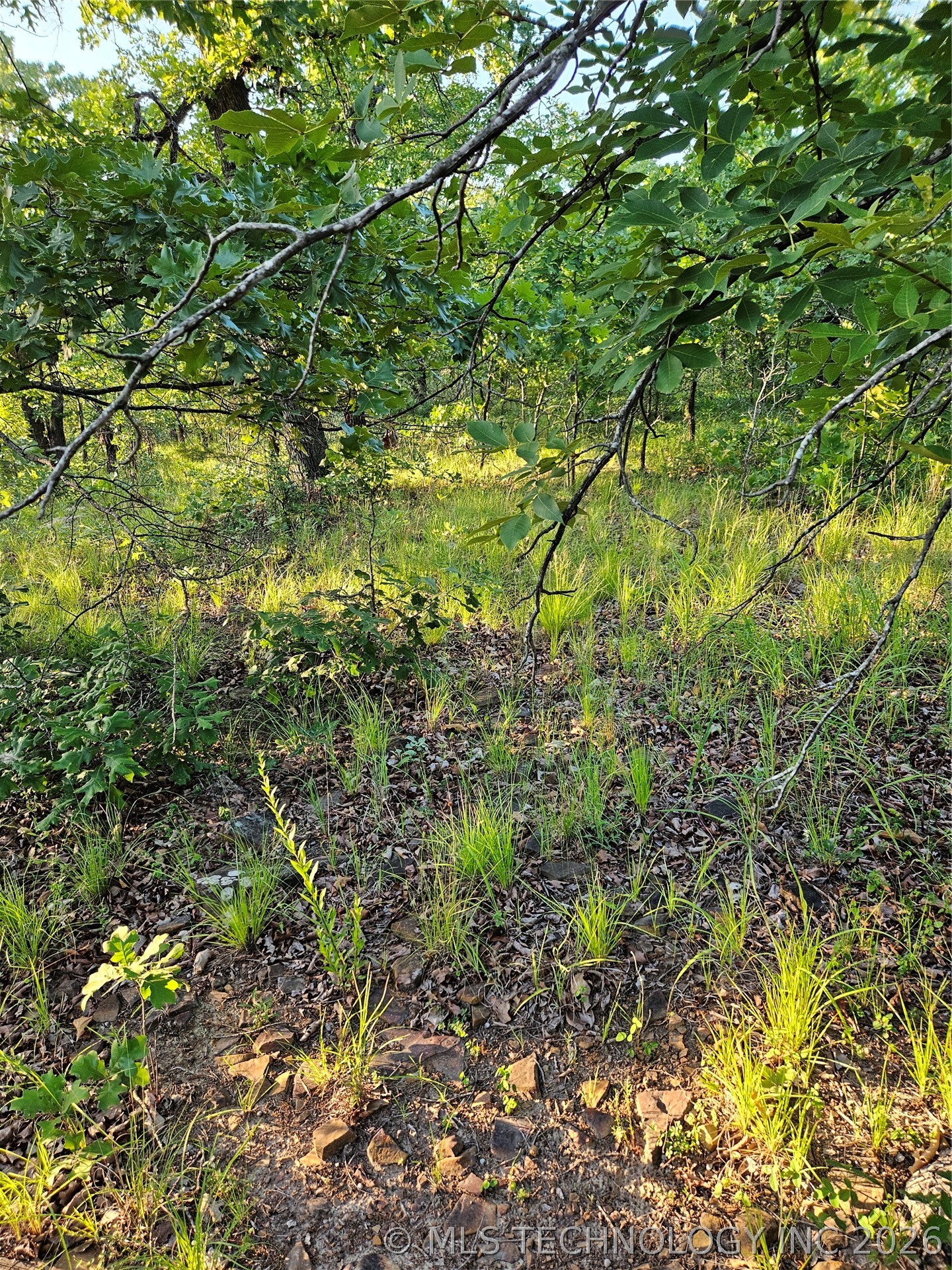 Hickory Lane Property Photo 4