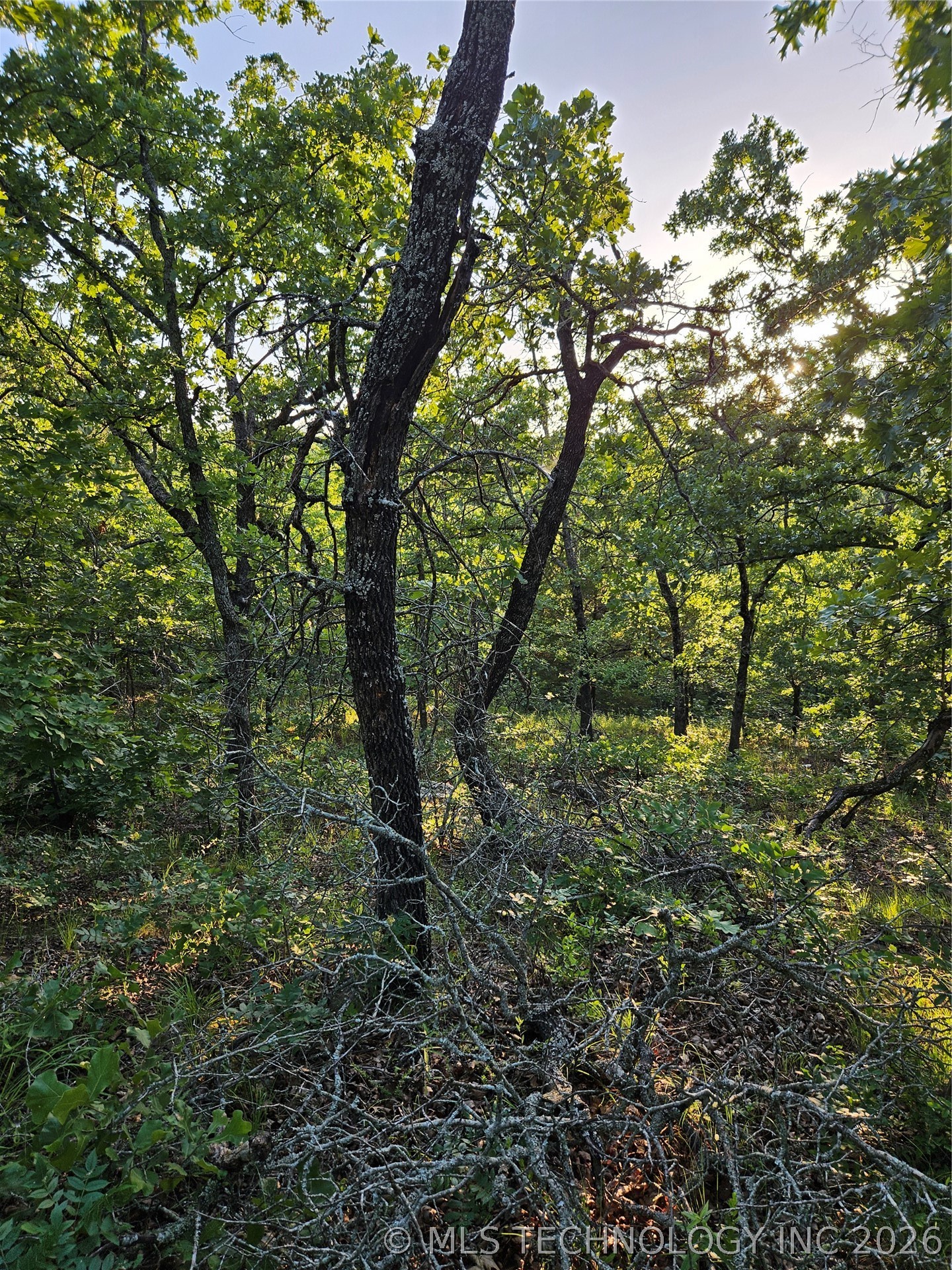Hickory Lane Property Photo 5