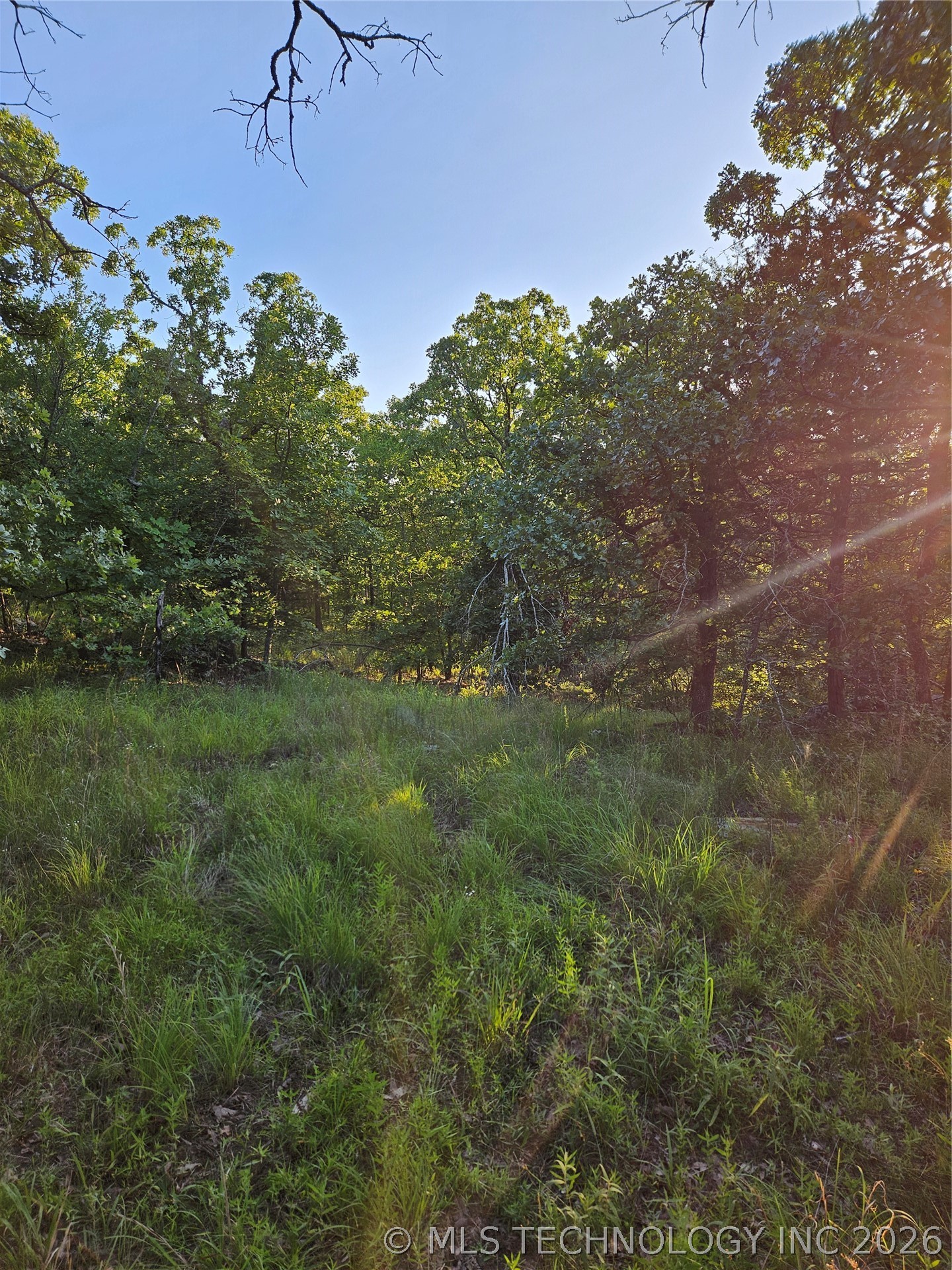 Hickory Lane Property Photo 6