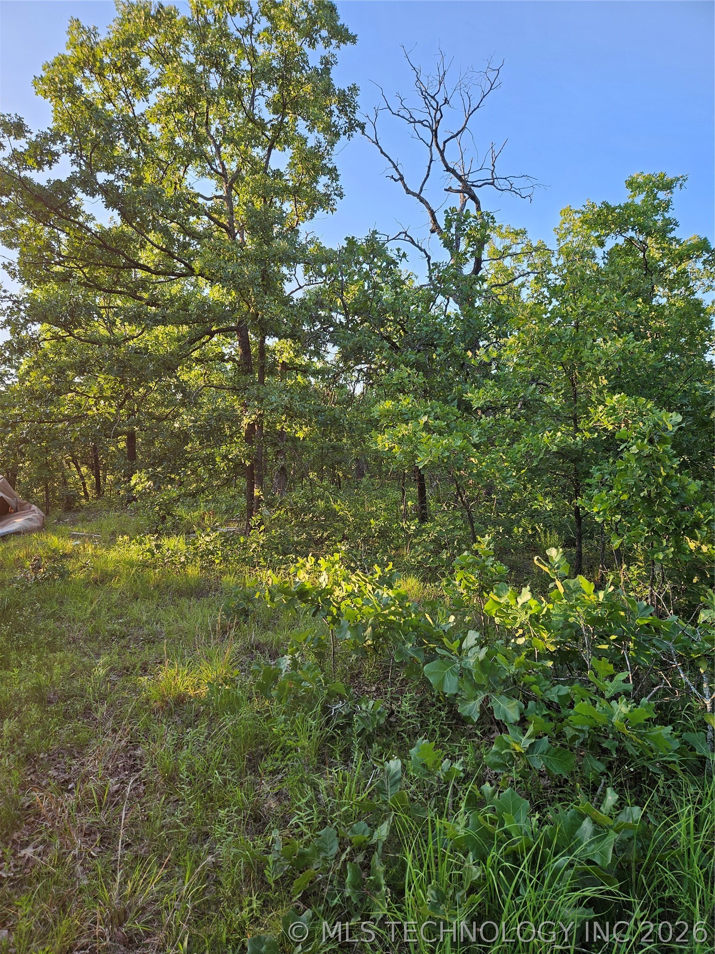 Hickory Lane Property Photo 7
