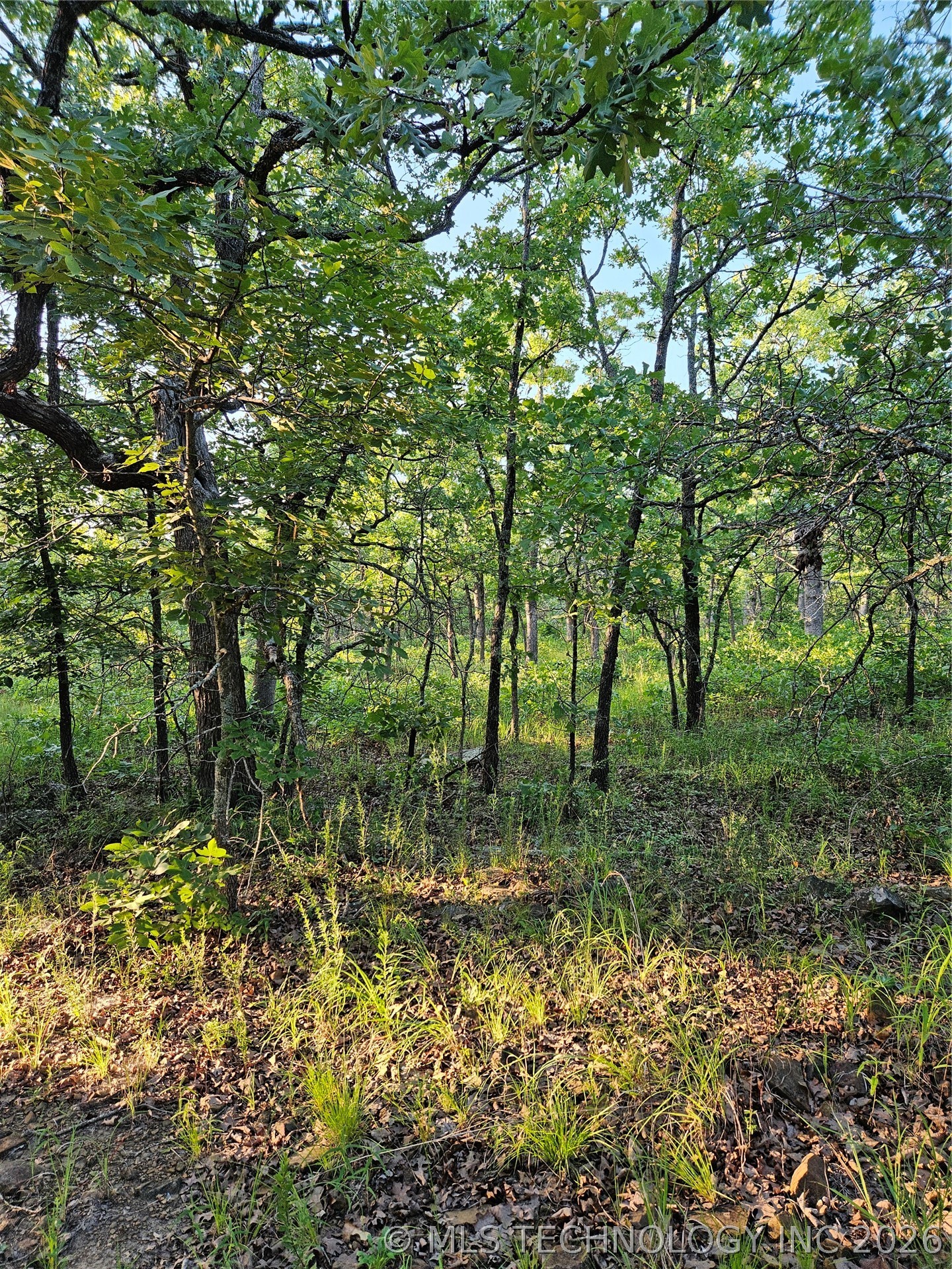 Hickory Lane Property Photo 8