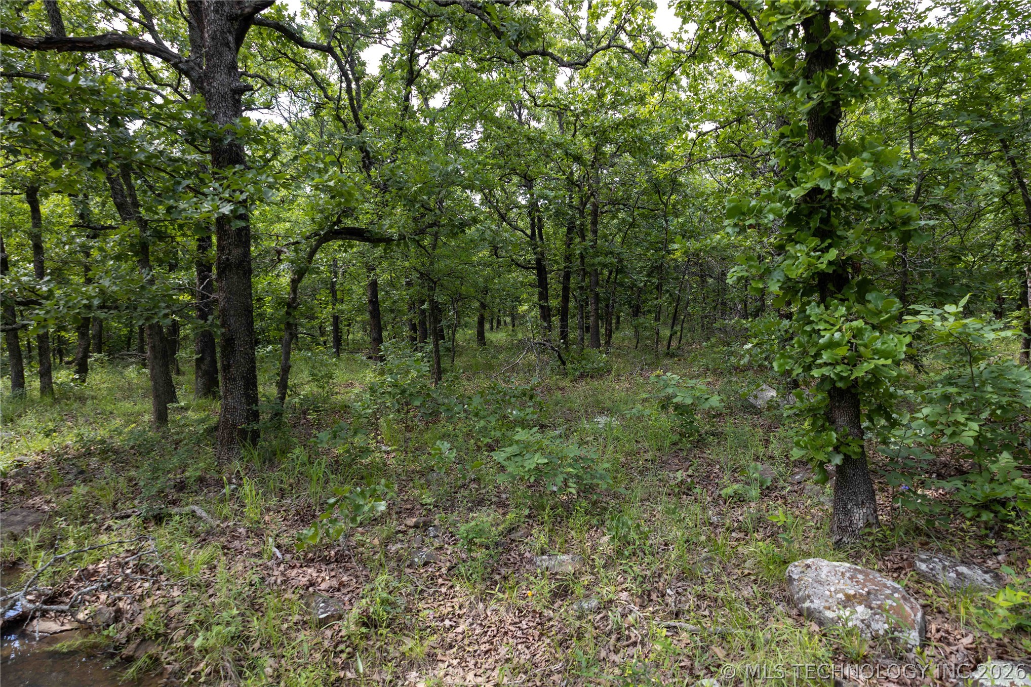 S 145th Avenue Property Photo 32