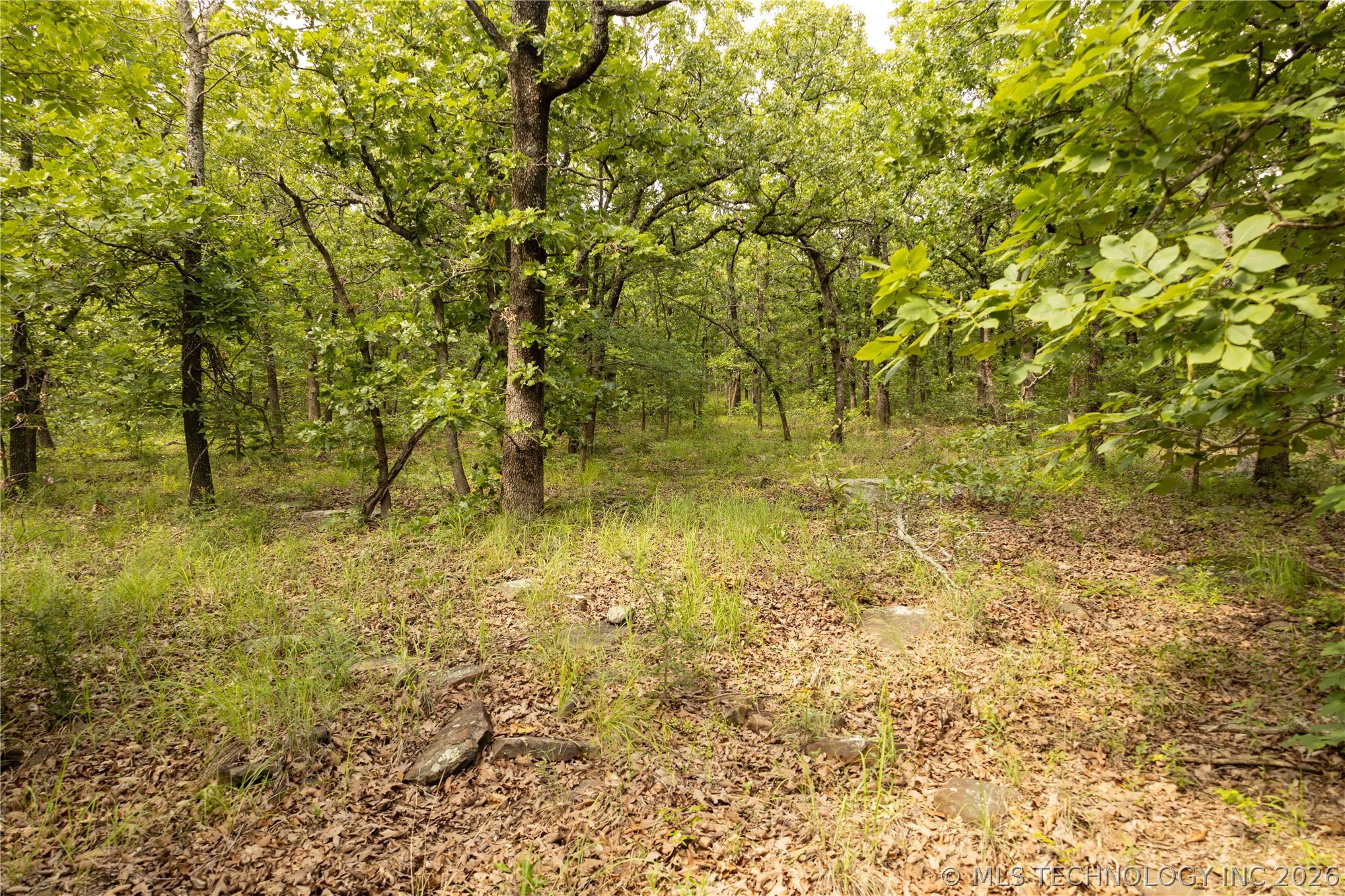 S 145th Avenue Property Photo 33