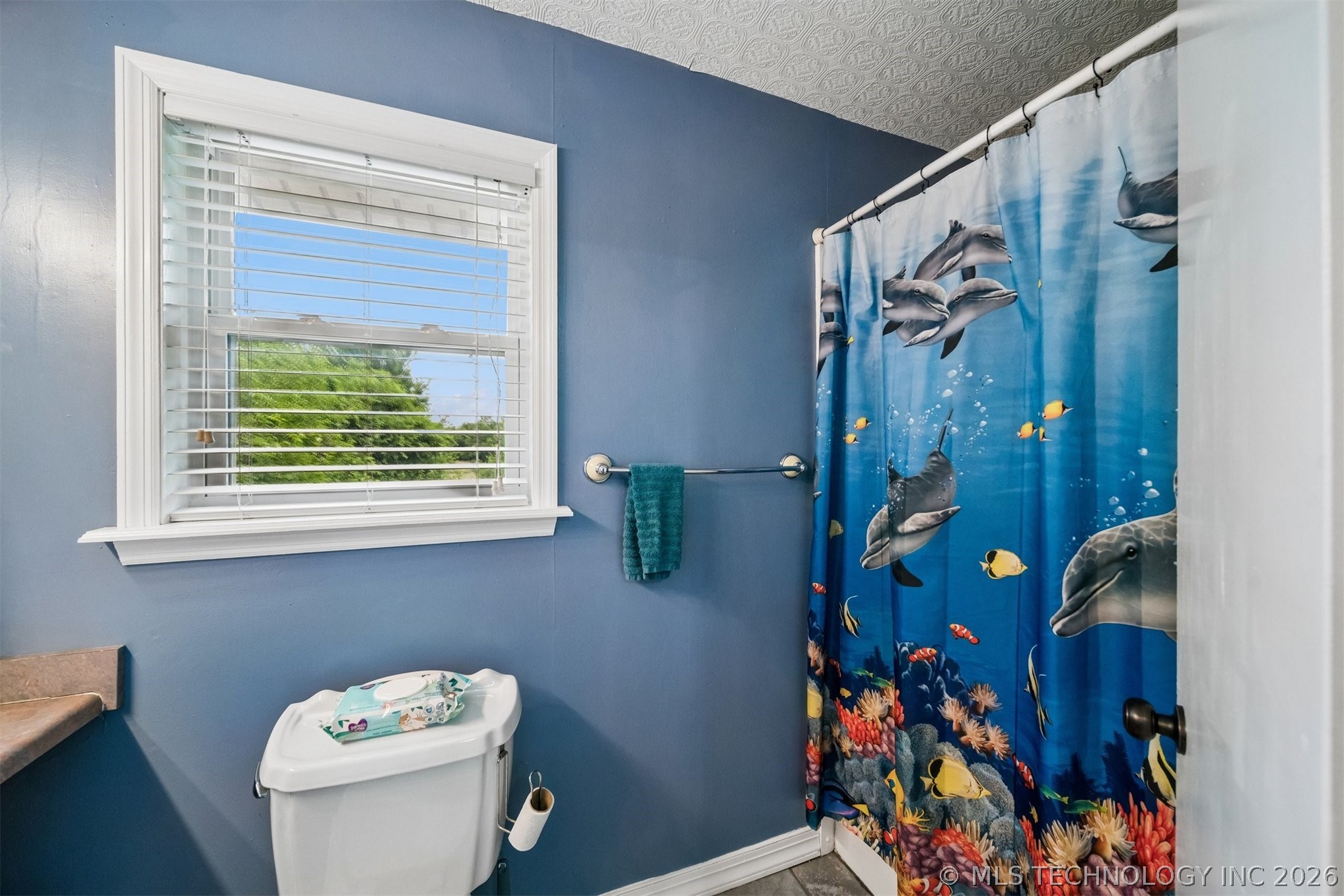 809 S Park Street Property Photo 43