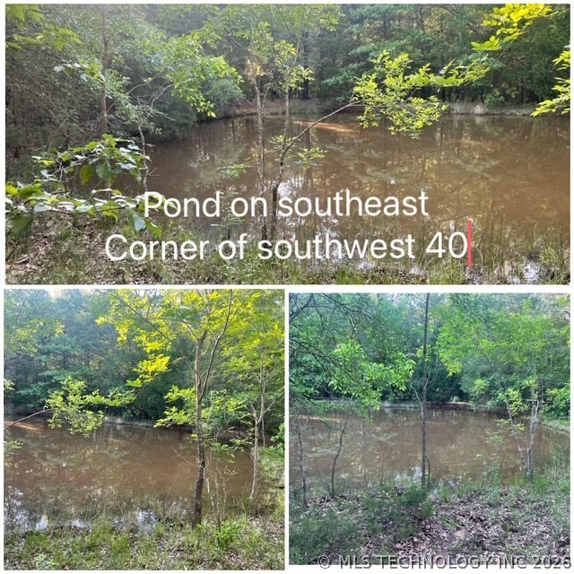 01 N Dozier Road Property Photo 4
