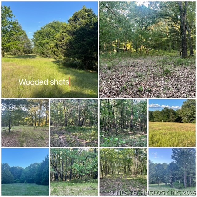 01 N Dozier Road Property Photo 8