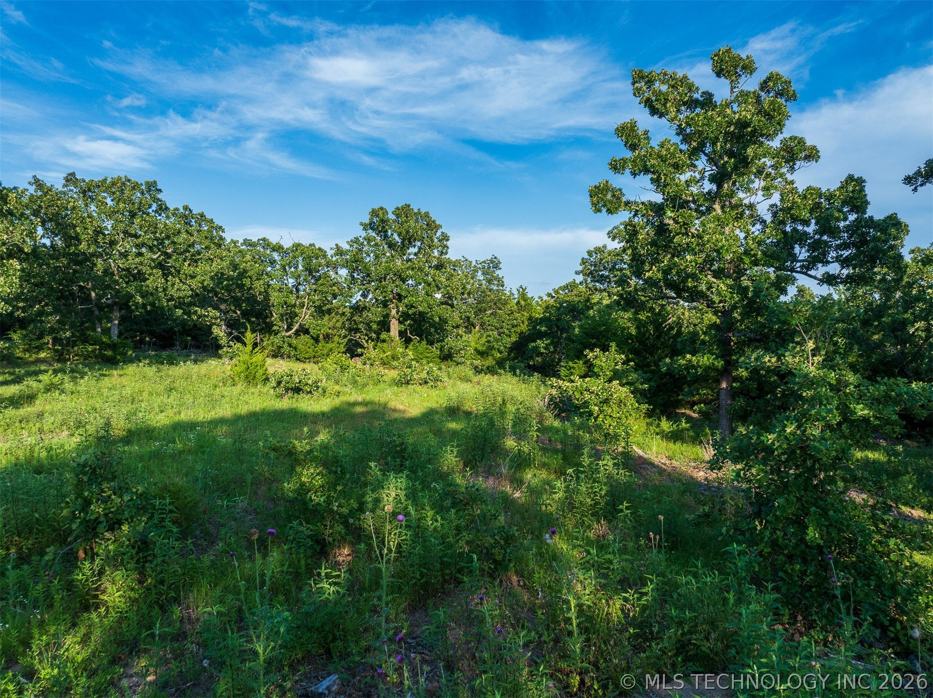 80 W Tina Trail Property Photo 28
