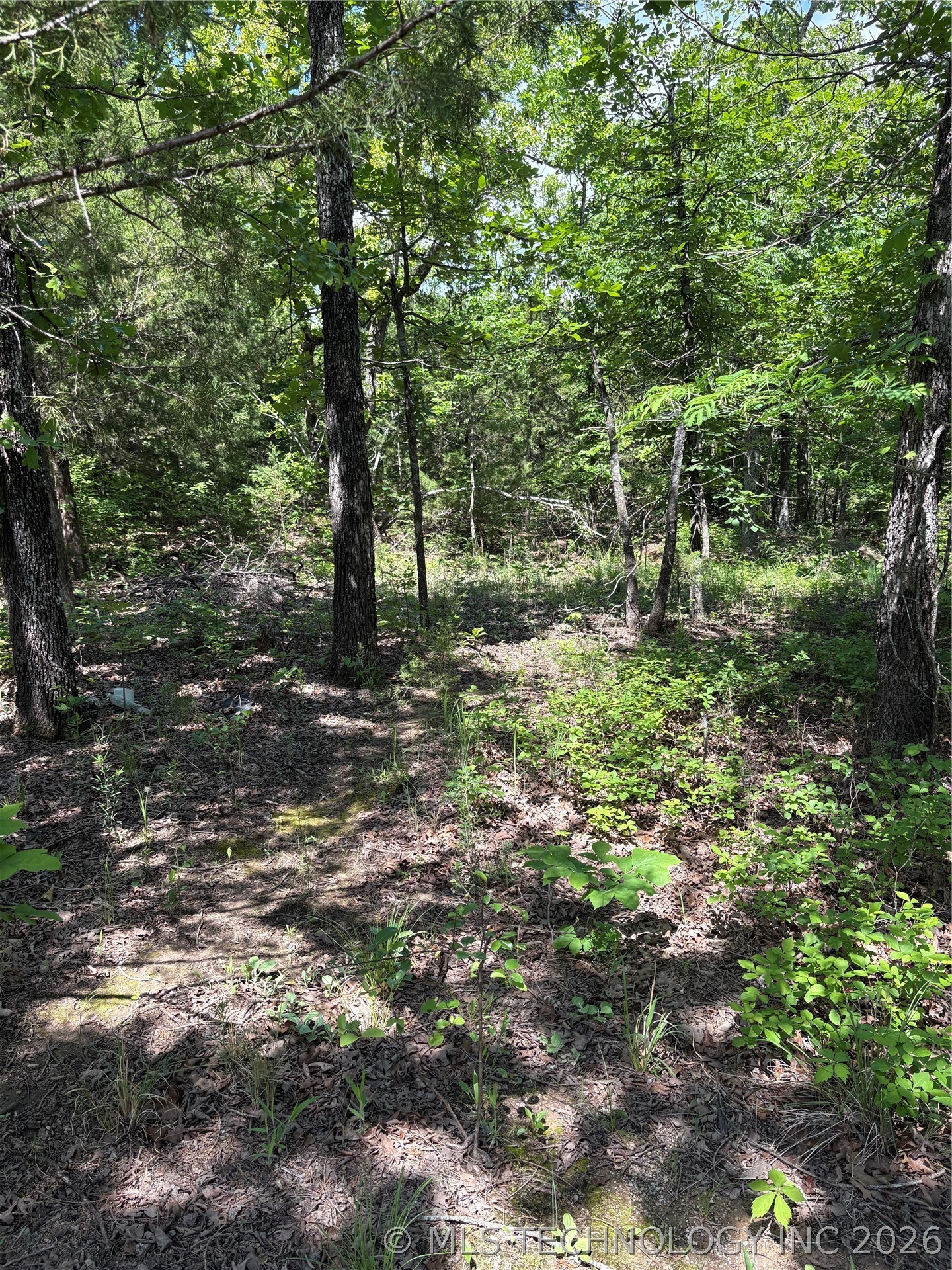 13 Stagecoach Trail Property Photo 3