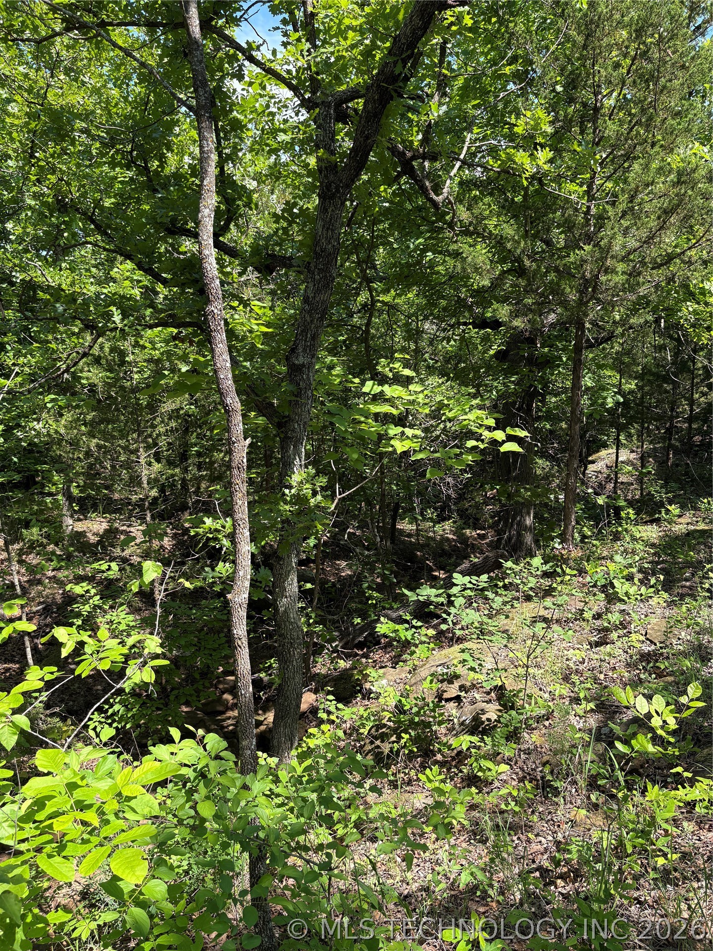 14 Stagecoach Trail Property Photo 3