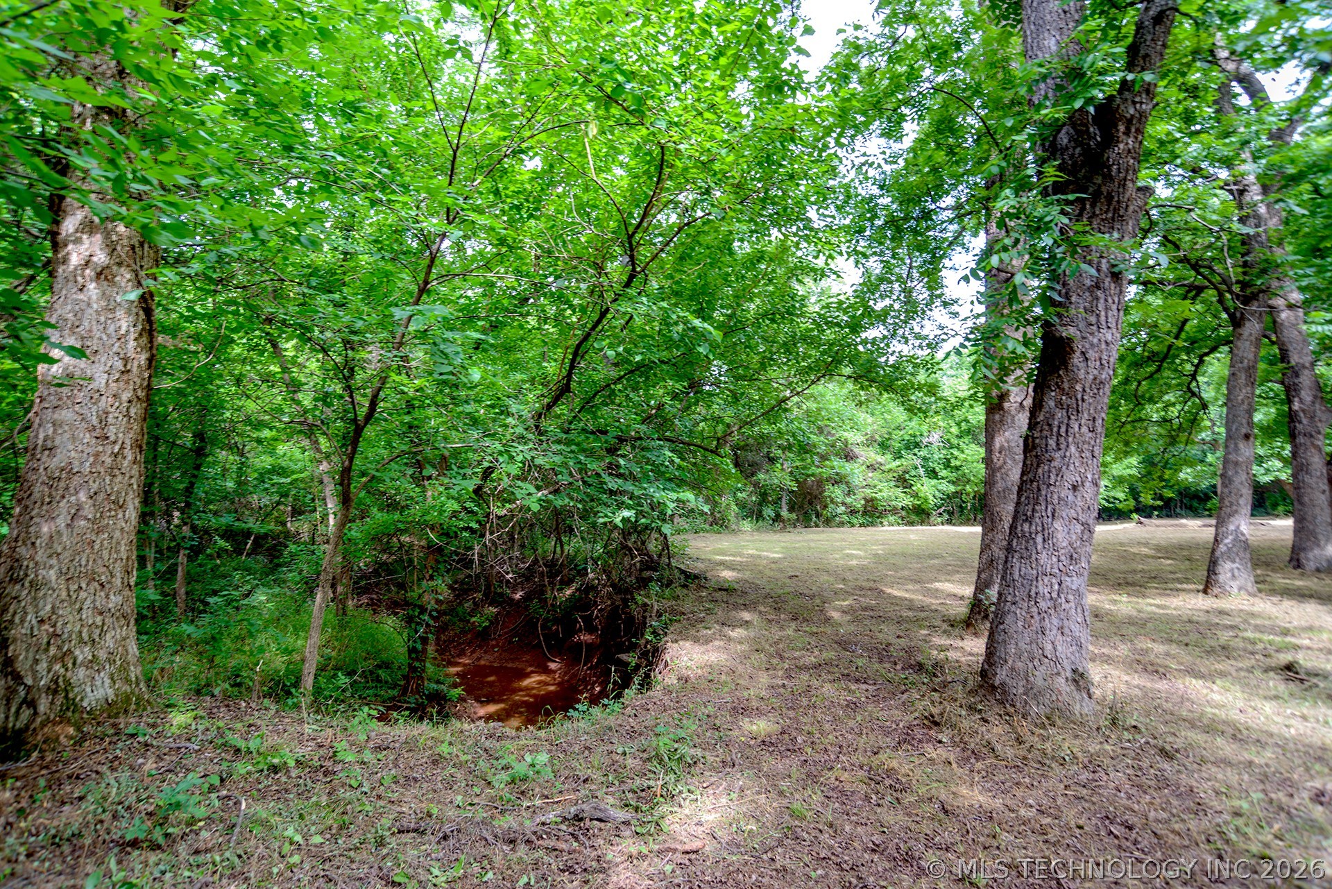 2718 Camden Property Photo 6