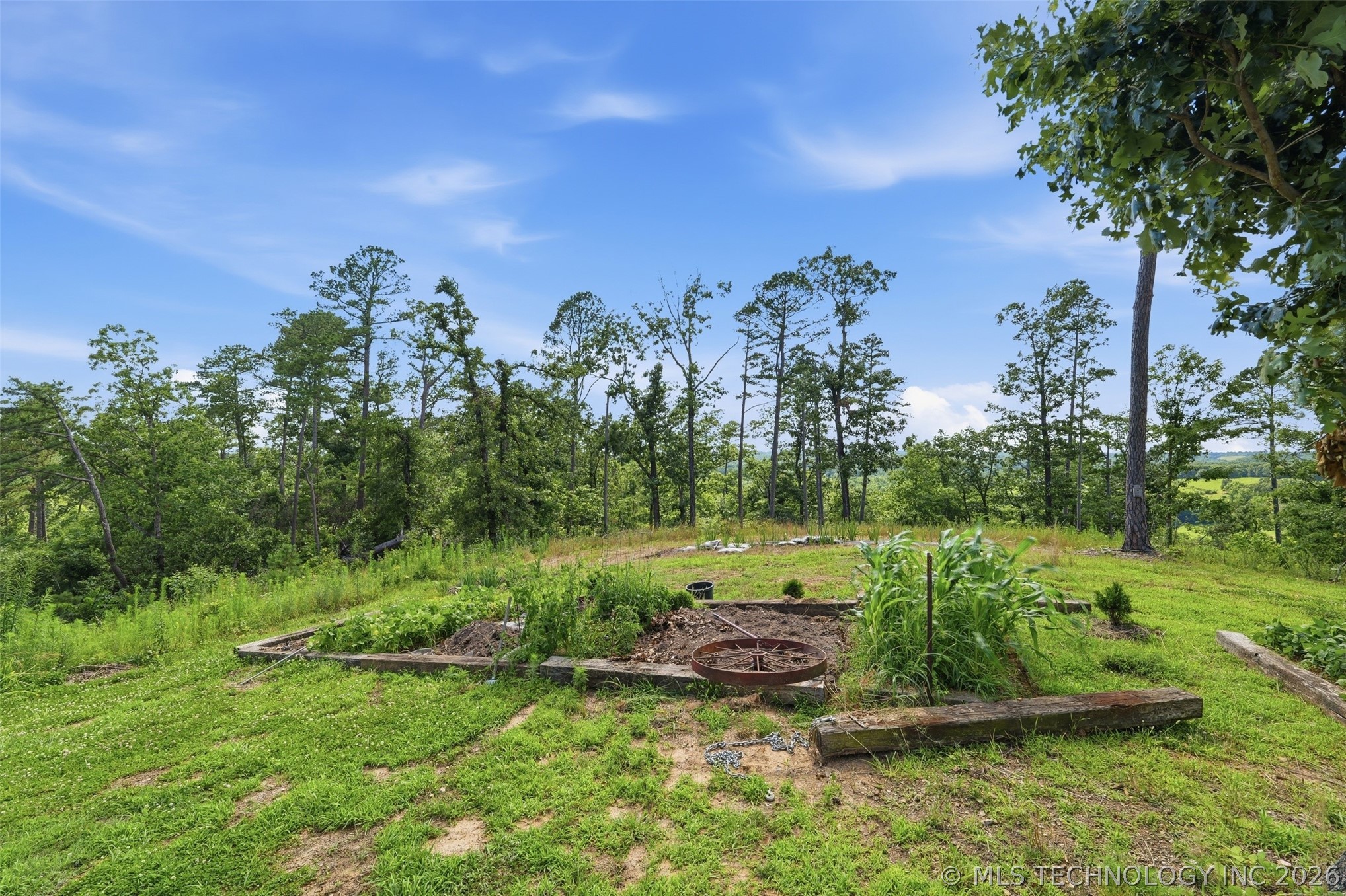 469788 Hwy 62 Property Photo 35
