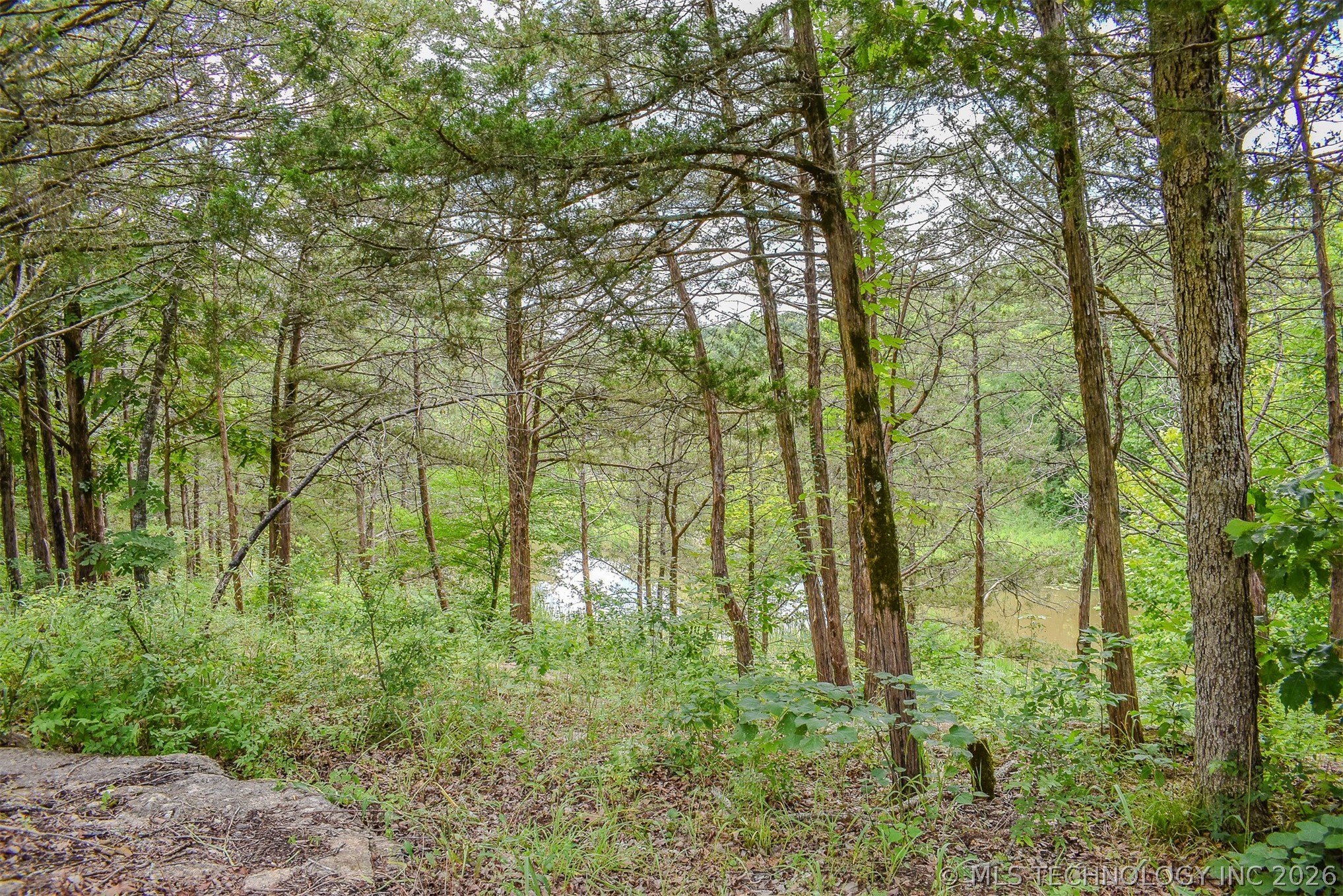 1005 Ridge Point Road Property Photo 7
