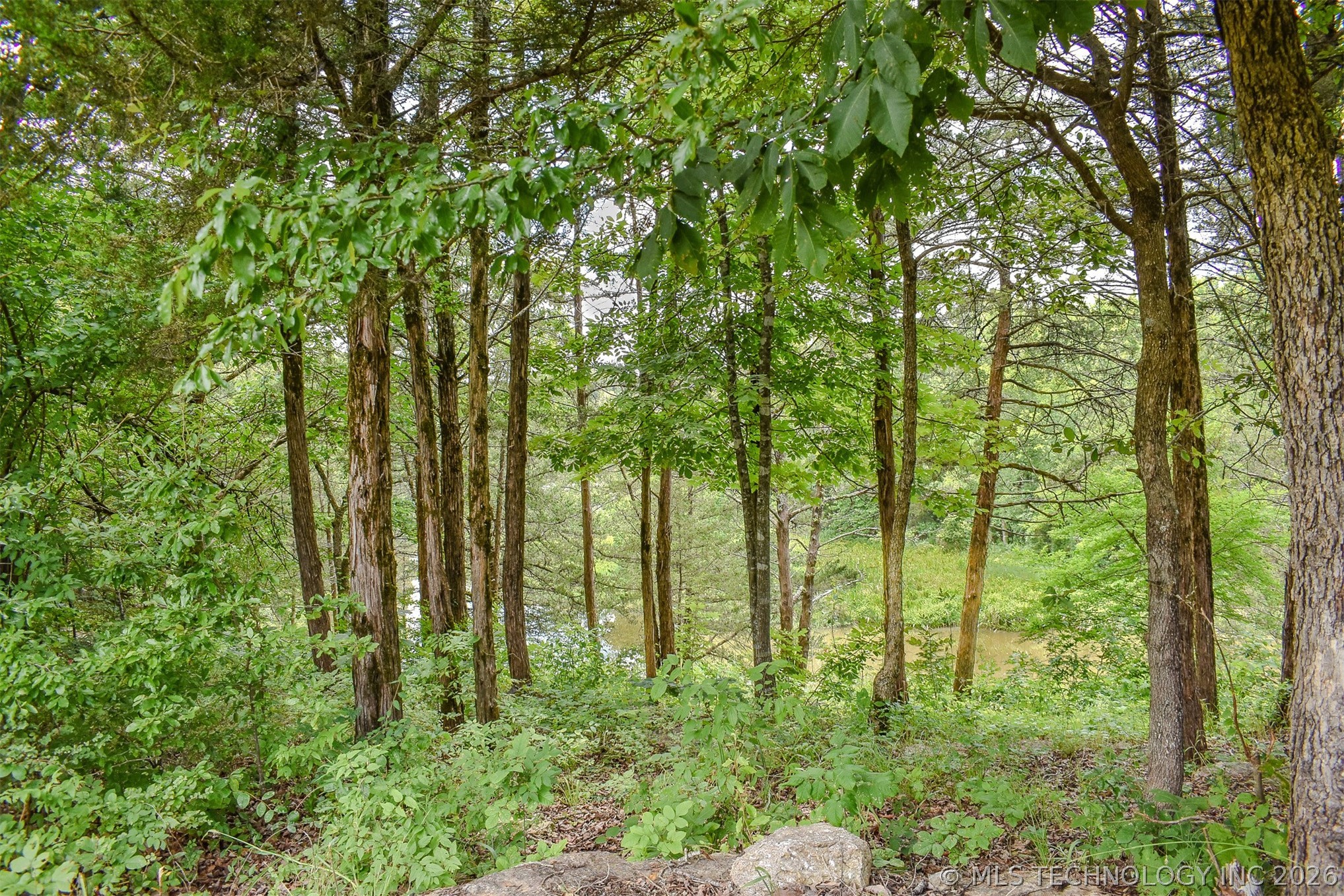 1005 Ridge Point Road Property Photo 9