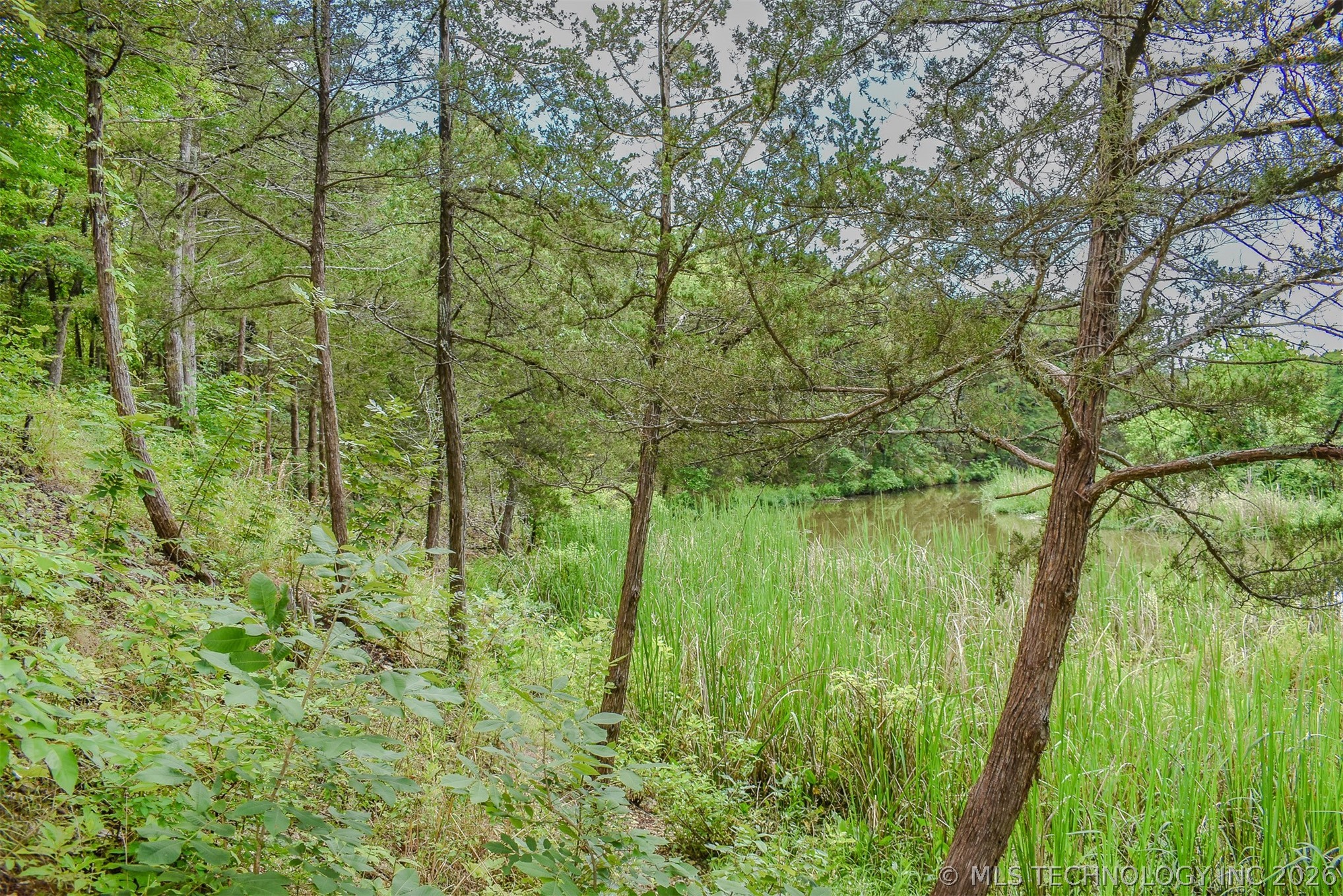 1005 Ridge Point Road Property Photo 10