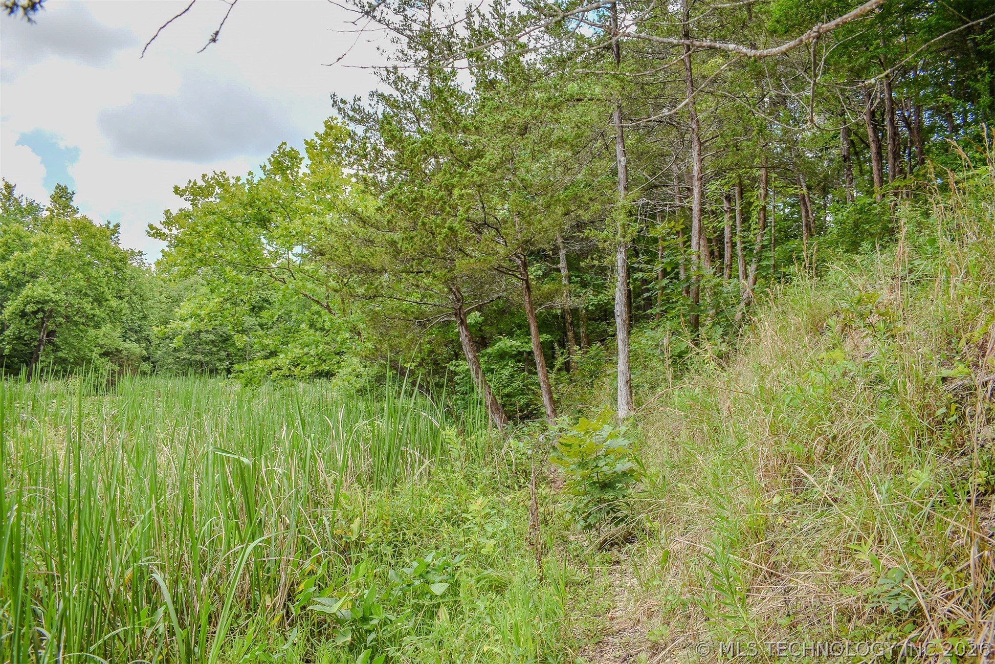 1005 Ridge Point Road Property Photo 11