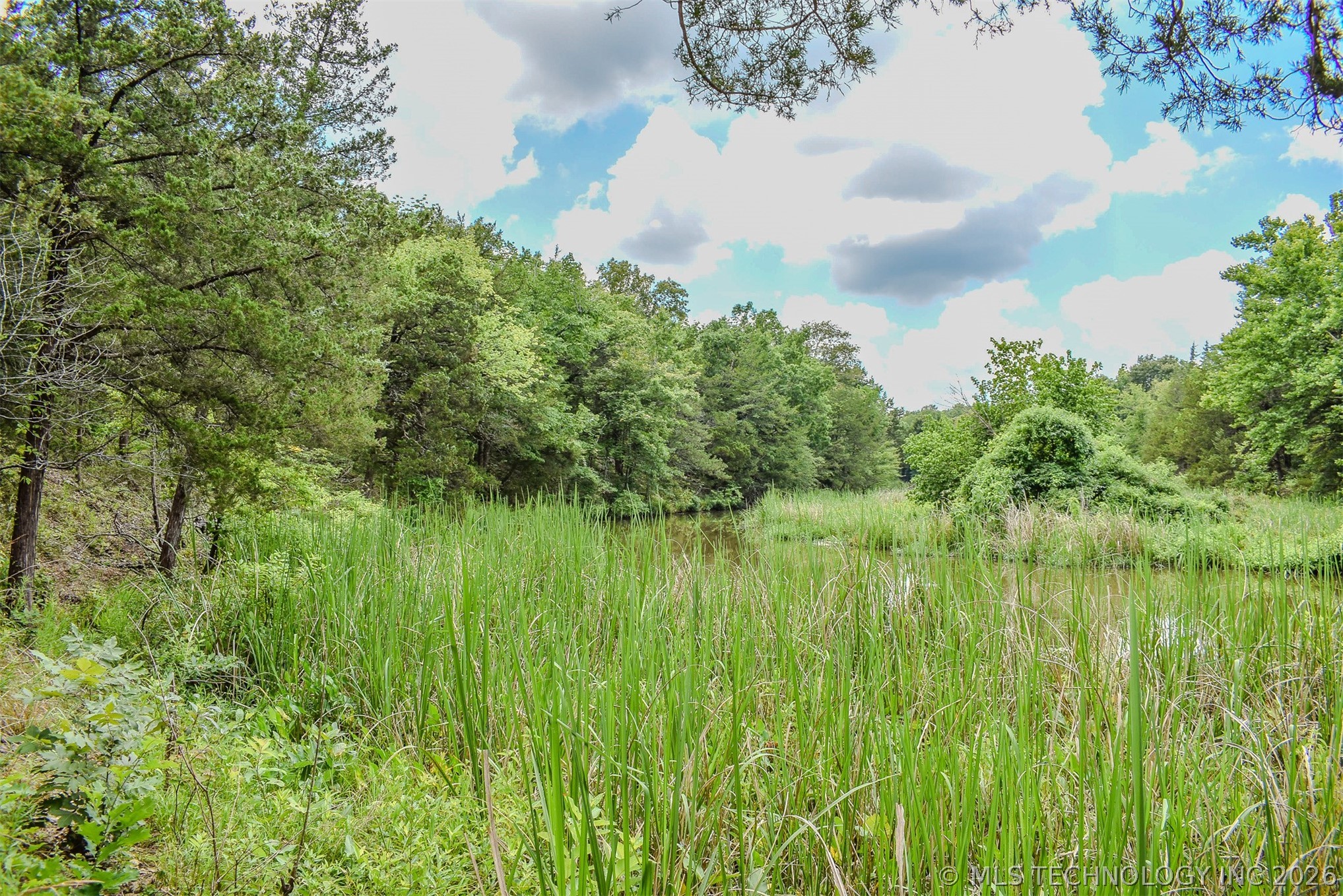 1005 Ridge Point Road Property Photo 12