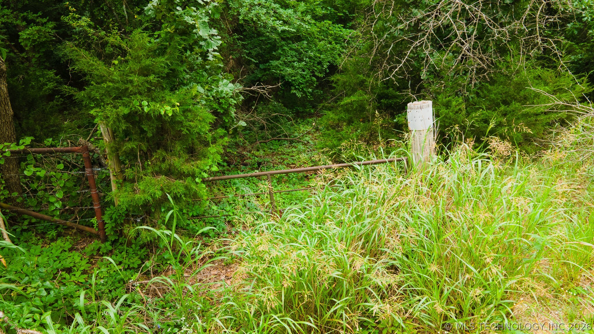 20100 S Hwy 75 Property Photo 15