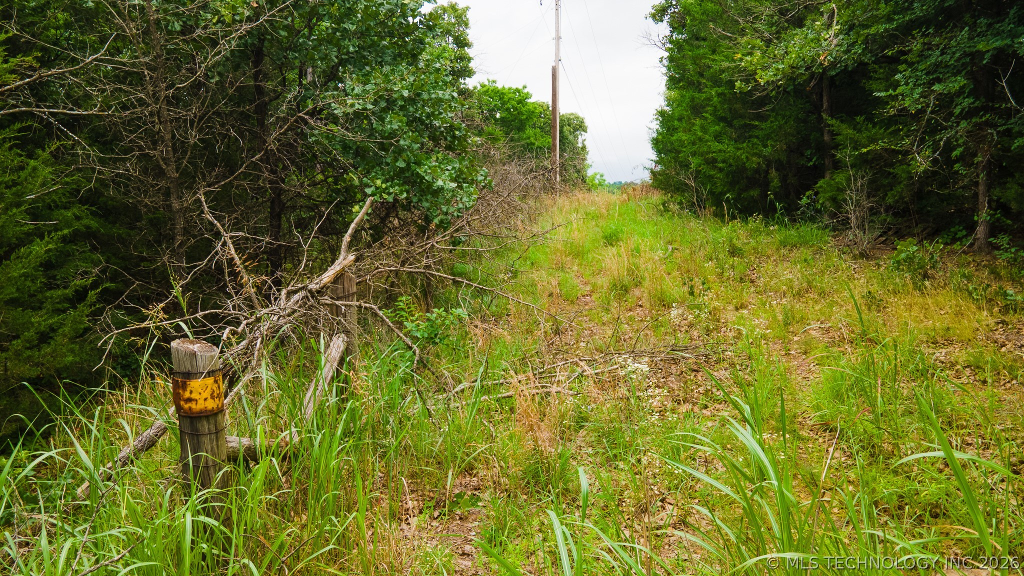 20100 S Hwy 75 Property Photo 16