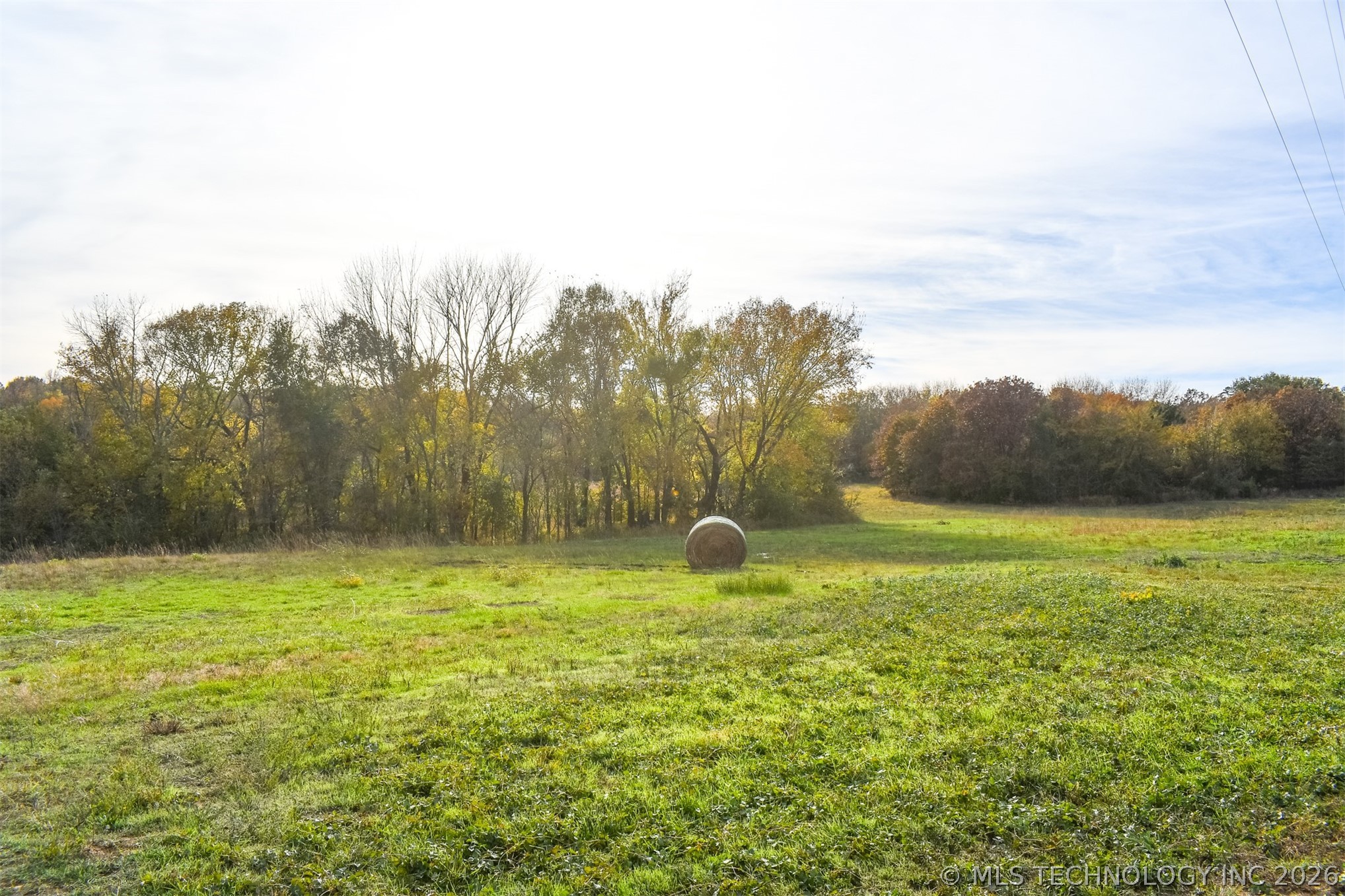 County Road 1170 Property Photo 6