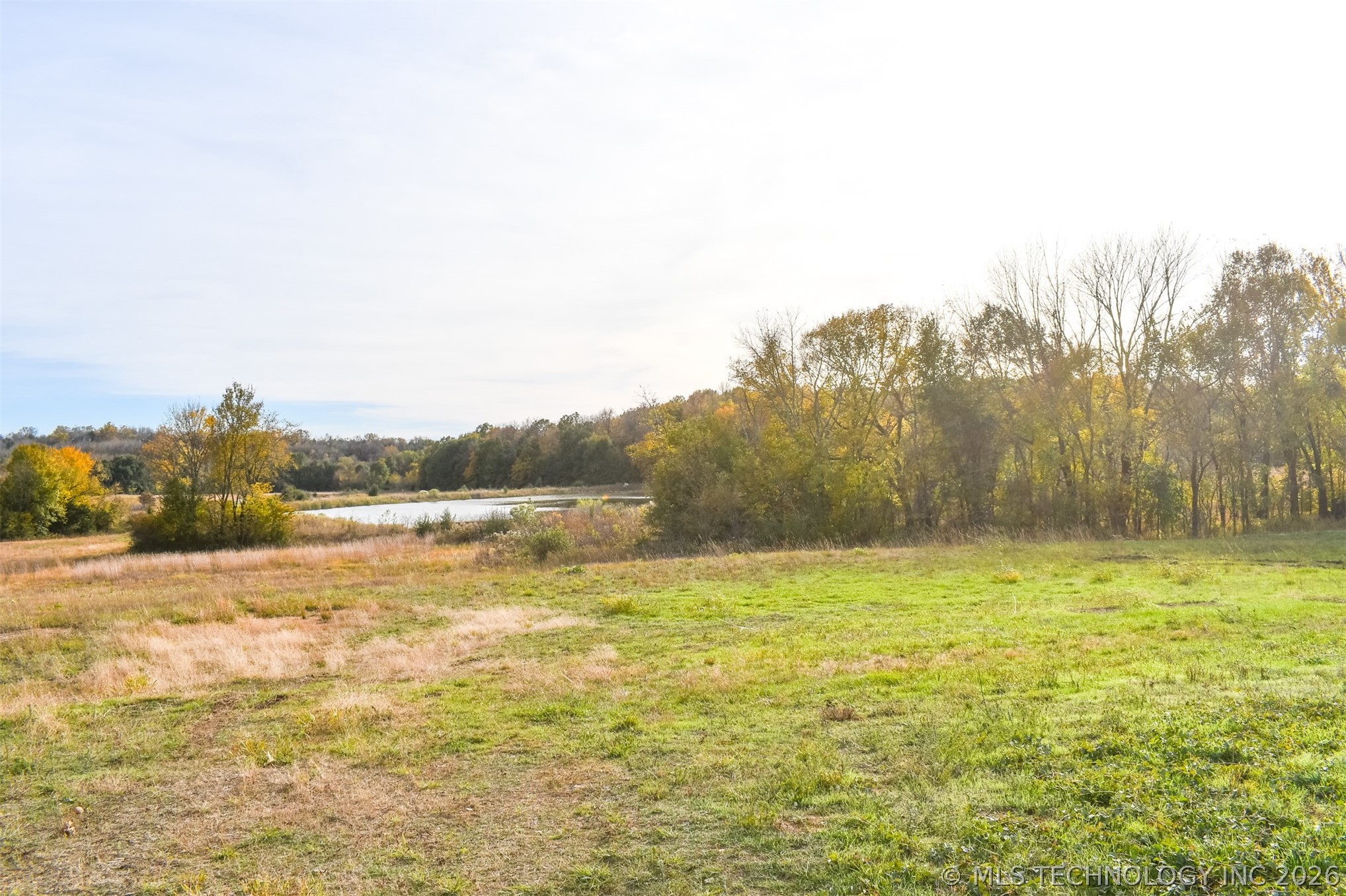 County Road 1170 Property Photo 10