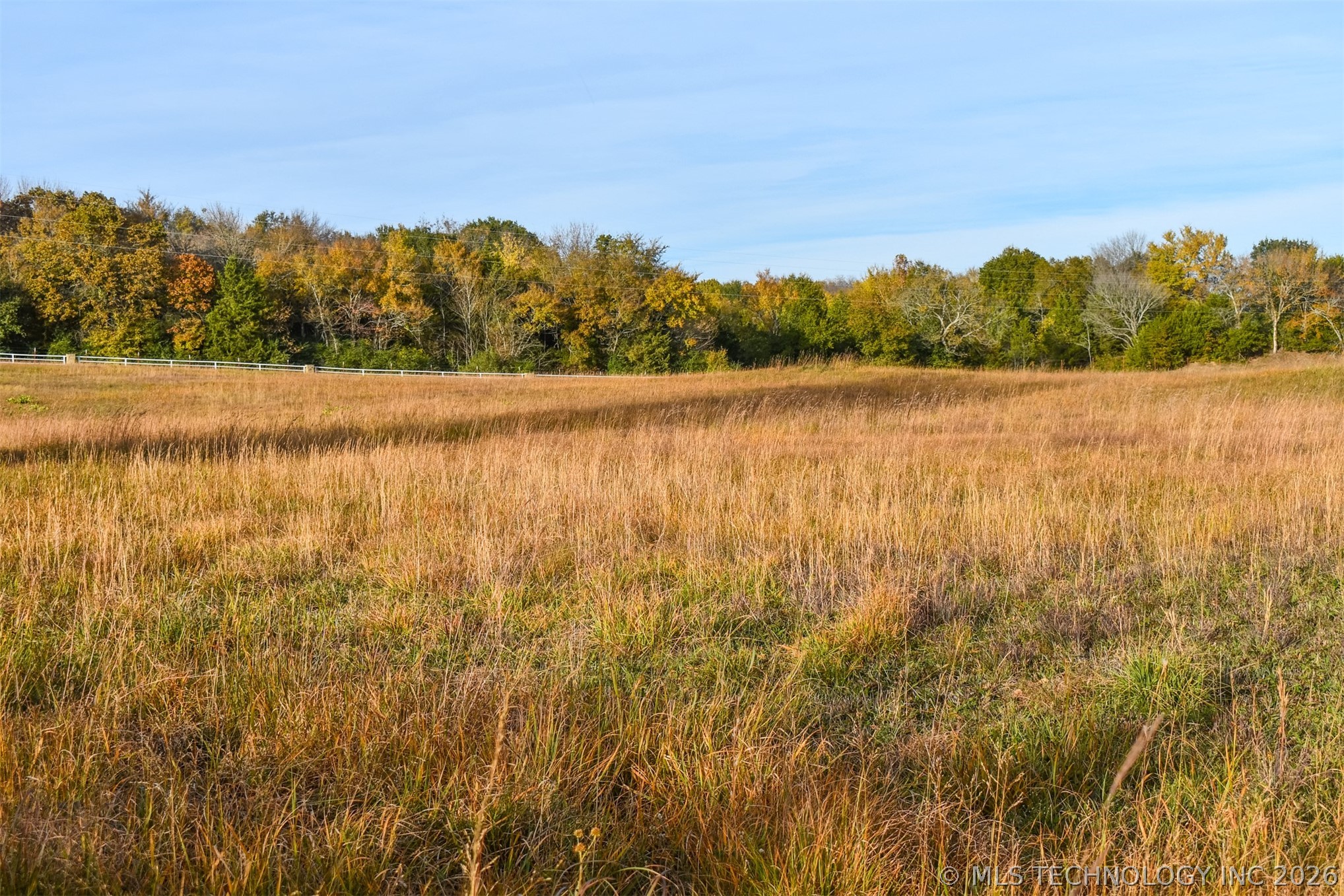 County Road 1170 Property Photo 11