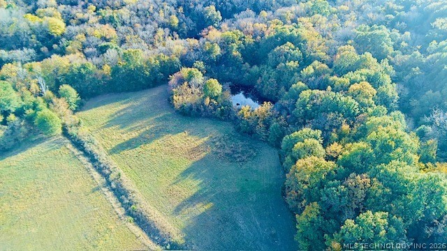 County Road 1170 Property Photo 13
