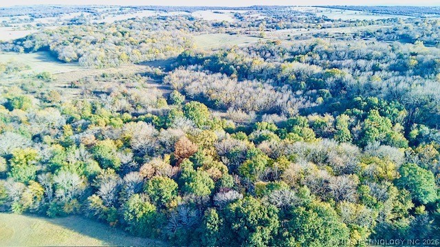 County Road 1170 Property Photo 15