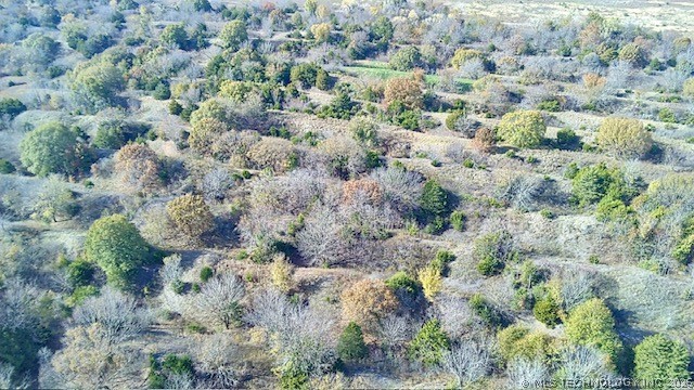 Tamaha Property Photo 4