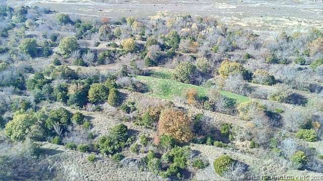 Tamaha Property Photo 5
