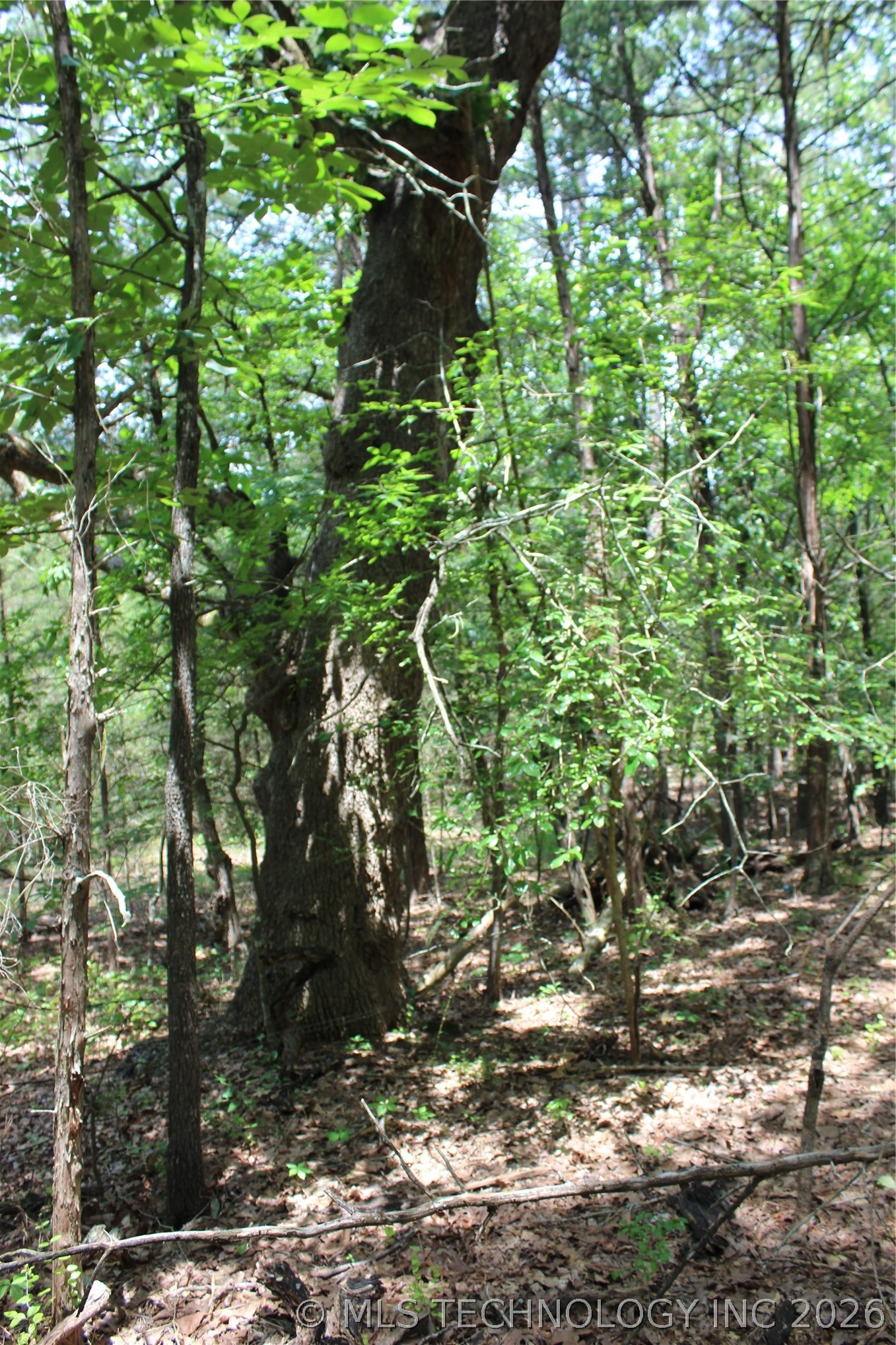 5 E 1909 Road Property Photo 1