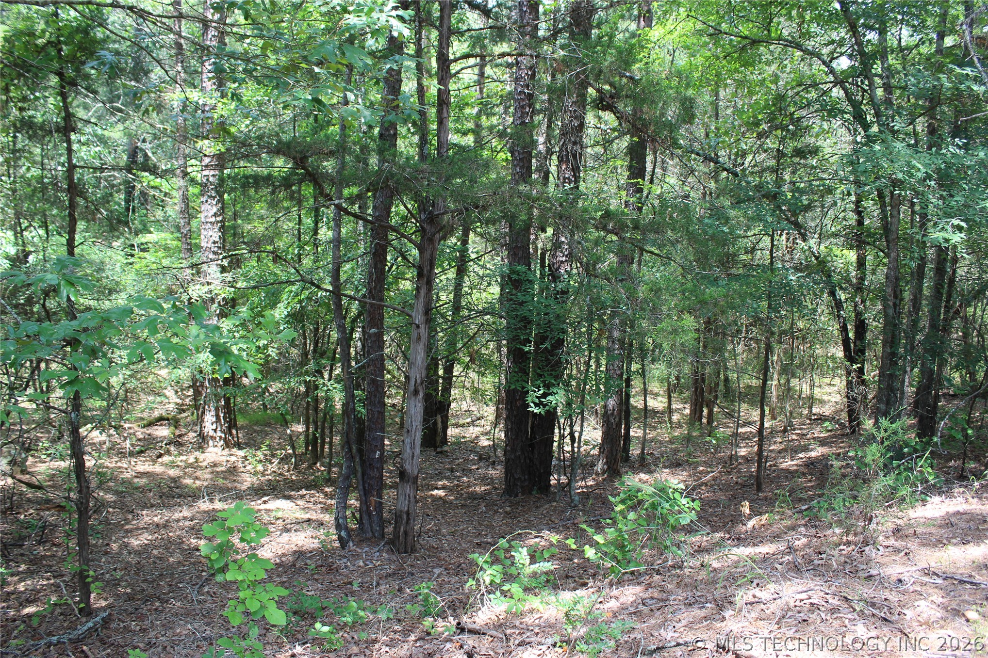 5 E 1909 Road Property Photo 2