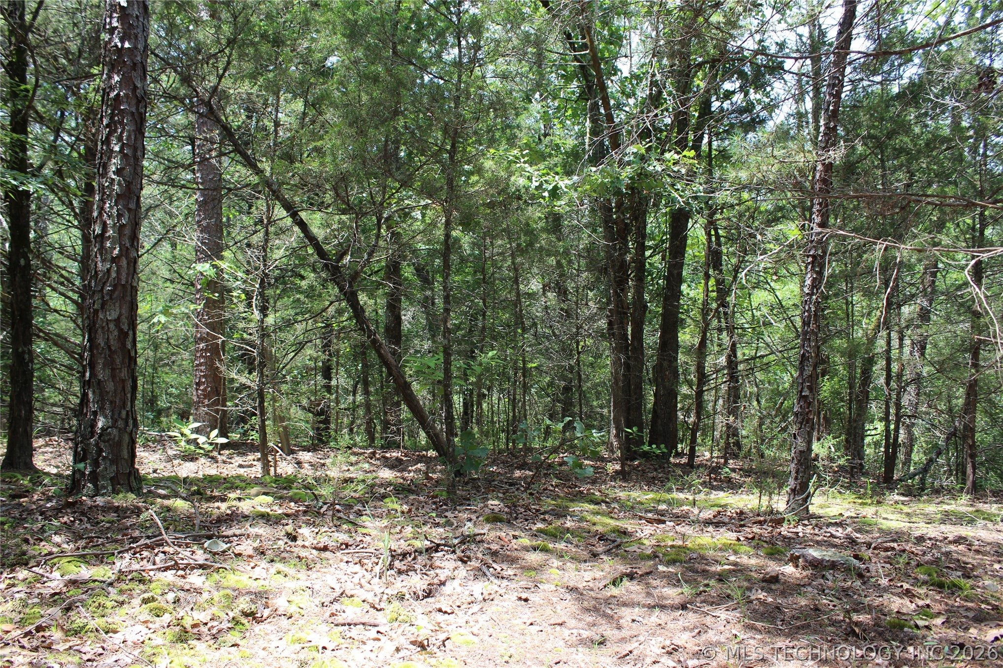 5 E 1909 Road Property Photo 3