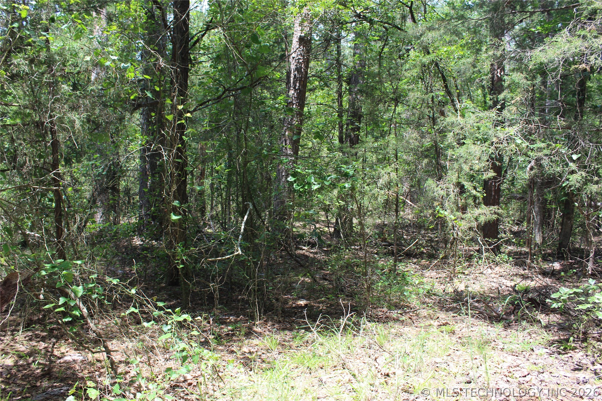 5 E 1909 Road Property Photo 4