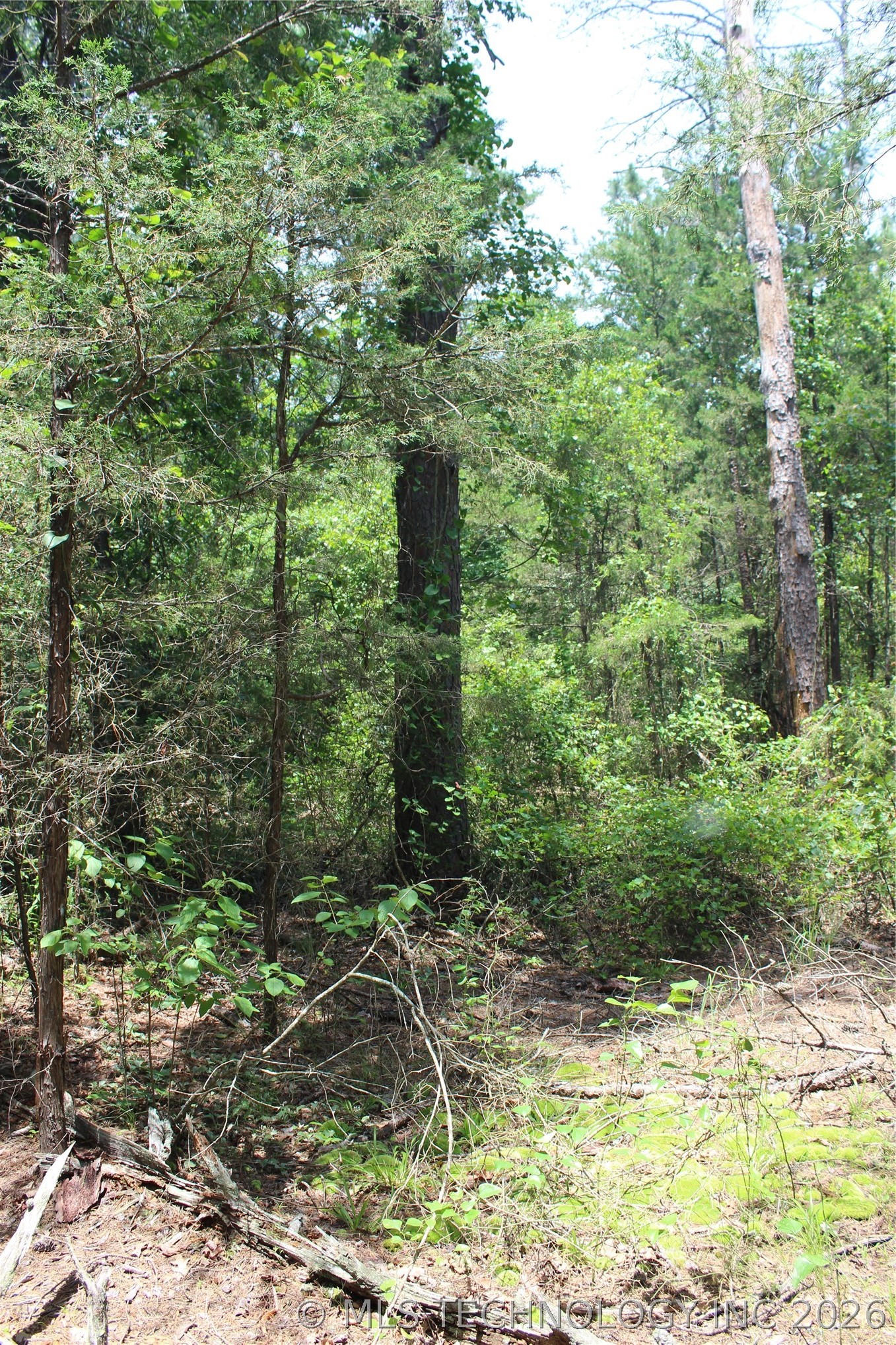5 E 1909 Road Property Photo 5