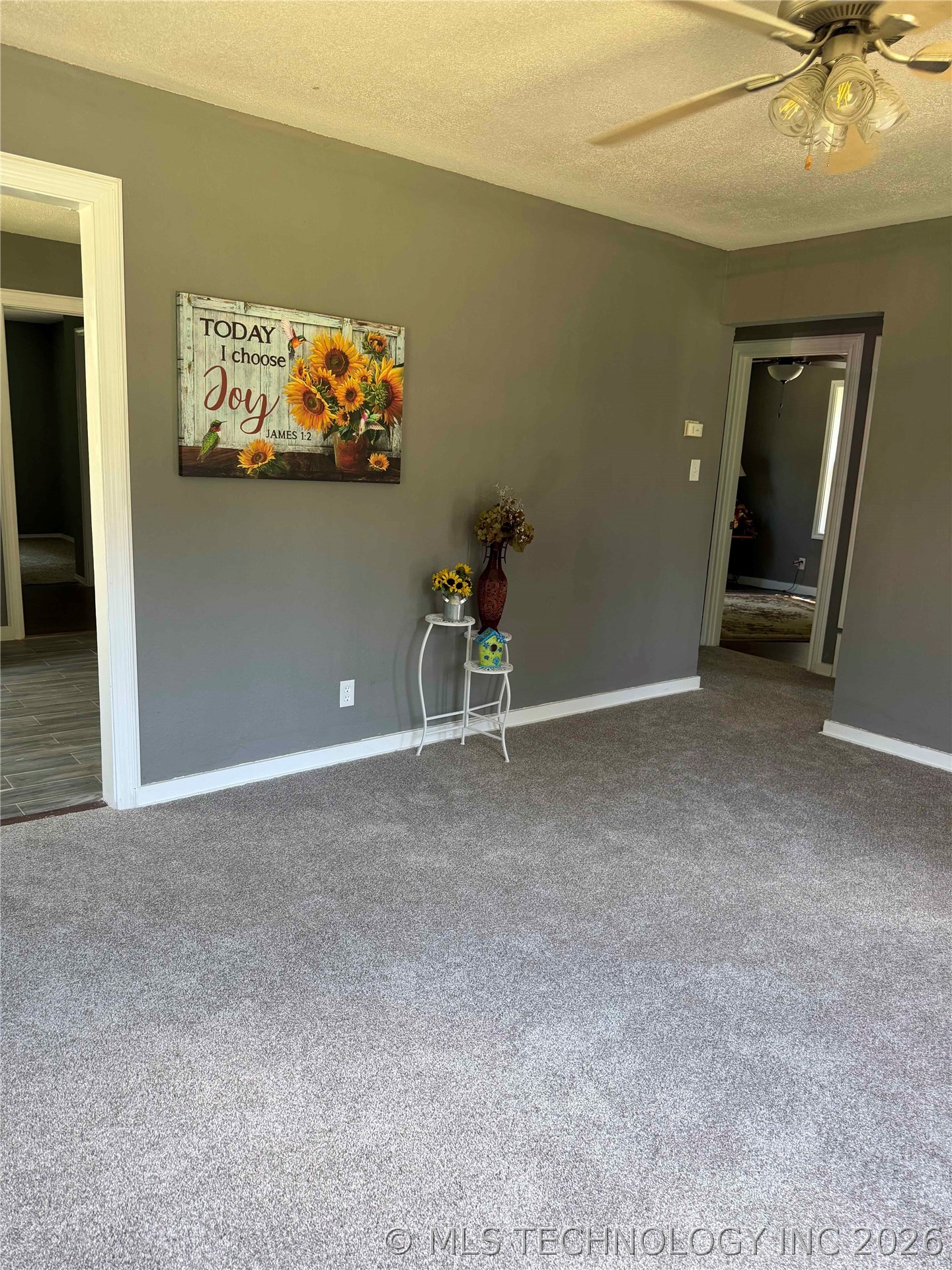 613 S Bluff Avenue Property Photo 9