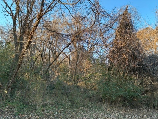 2808 W Oak Drive Property Photo 4