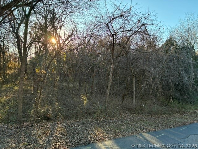 2808 W Oak Drive Property Photo 9