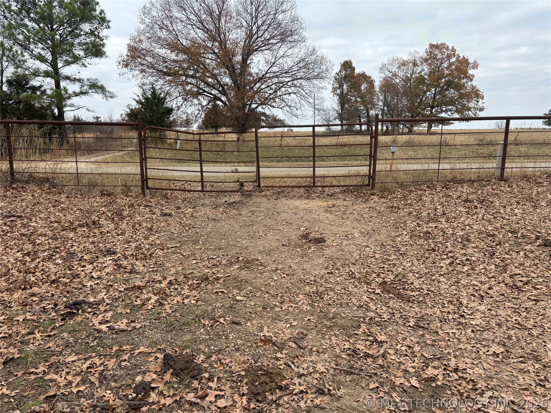 Nelson Property Photo 2